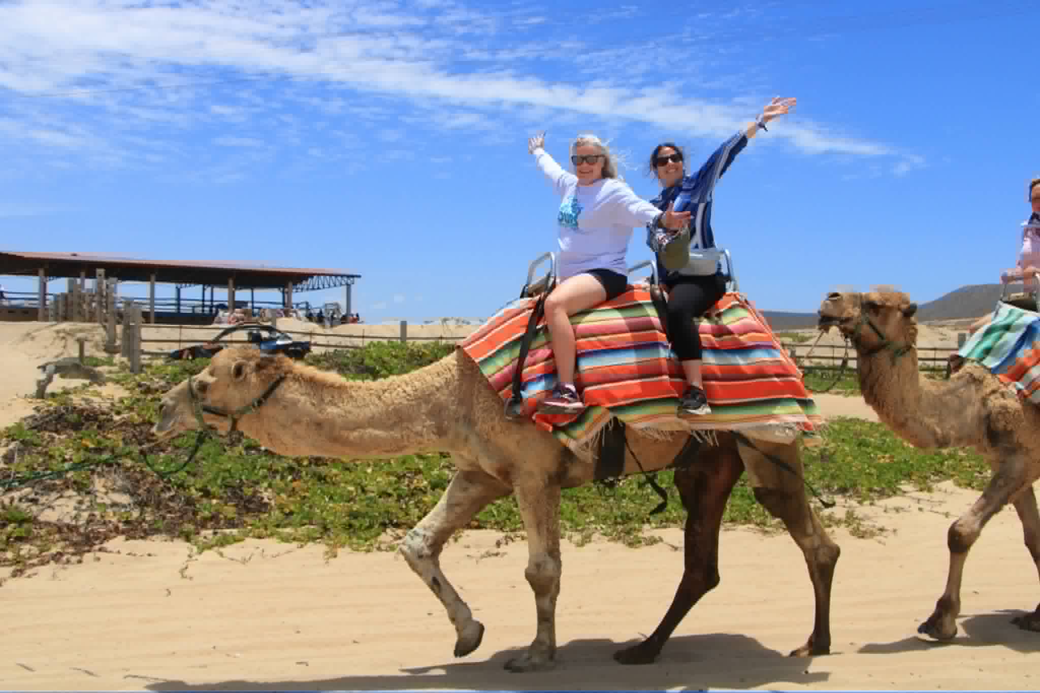 Two women ride a camel on a beach wearing colorful striped blankets with the ocean in the background