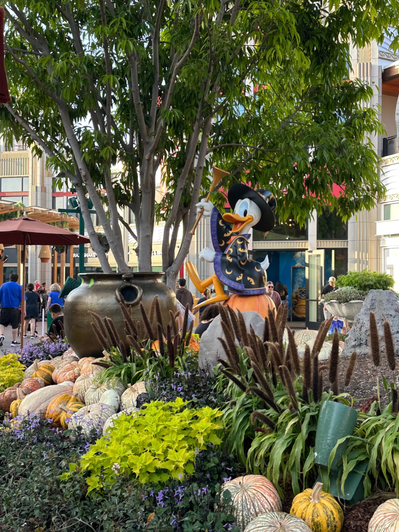 United States — Lori Richardson's travel story