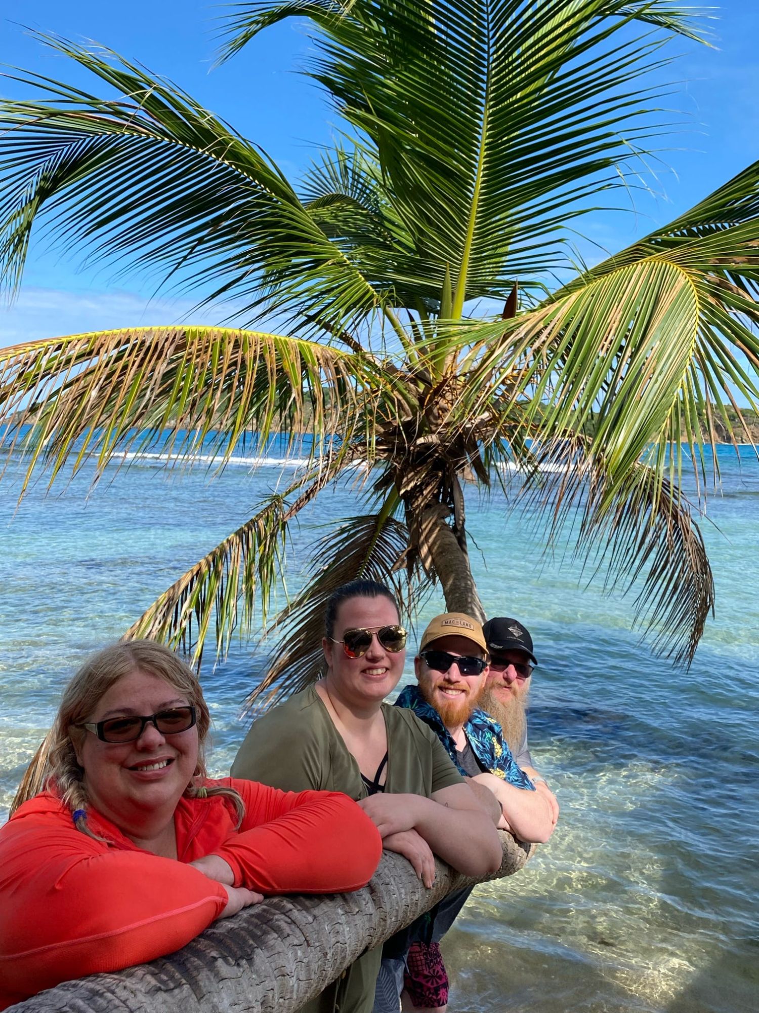 Four friends lean on a low-hanging palm tree over clear Caribbean-blue water on a tropical beach.