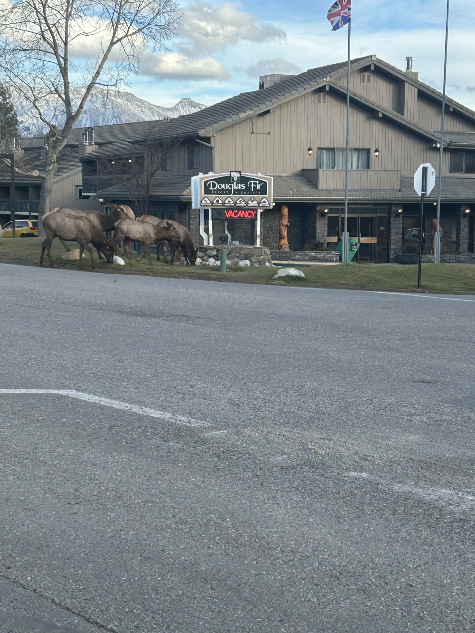 Canada — Kelly's travel story