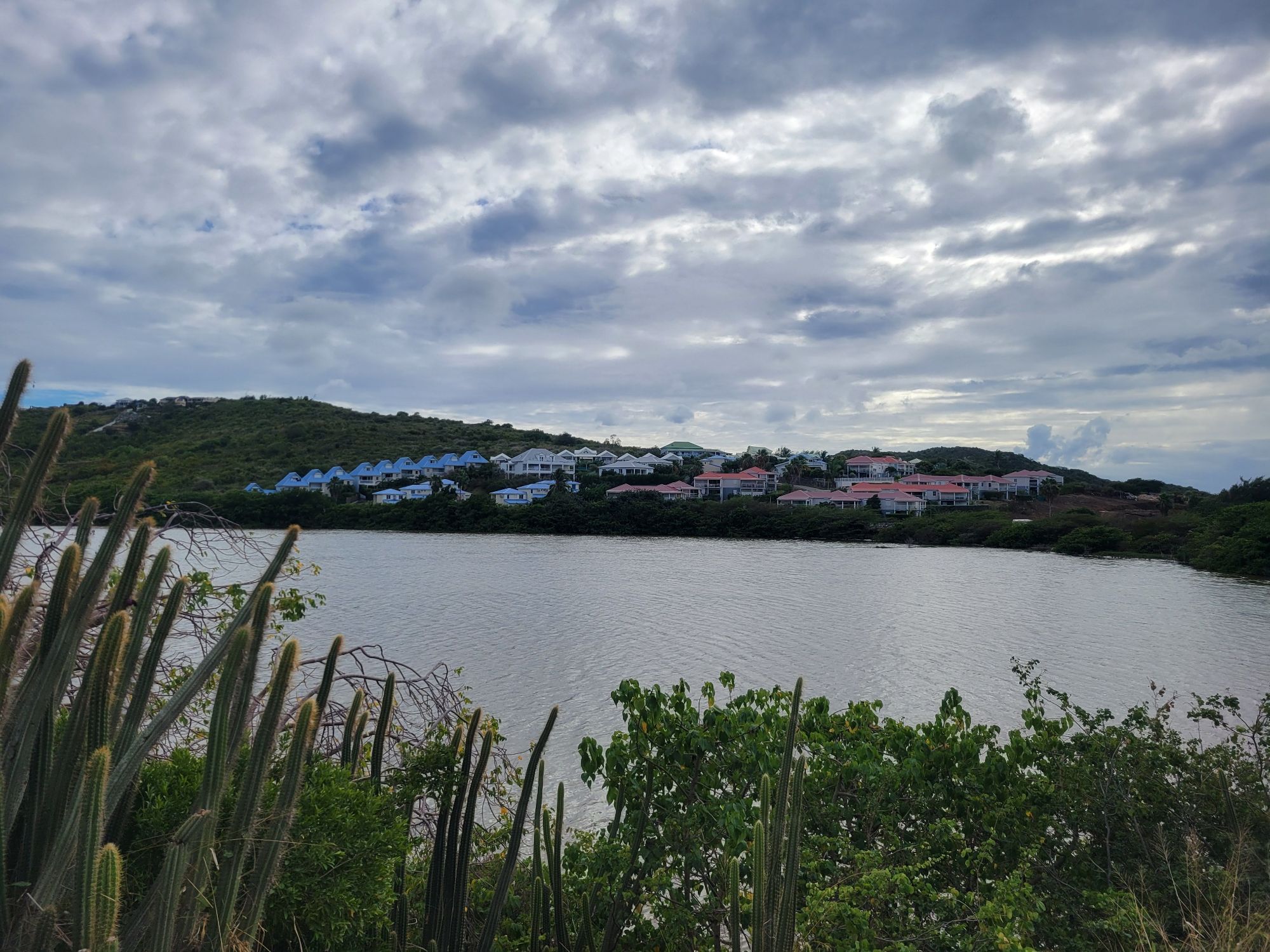 Waterfront settlement with colorful houses on a hillside across a calm lagoon, cacti in foreground
