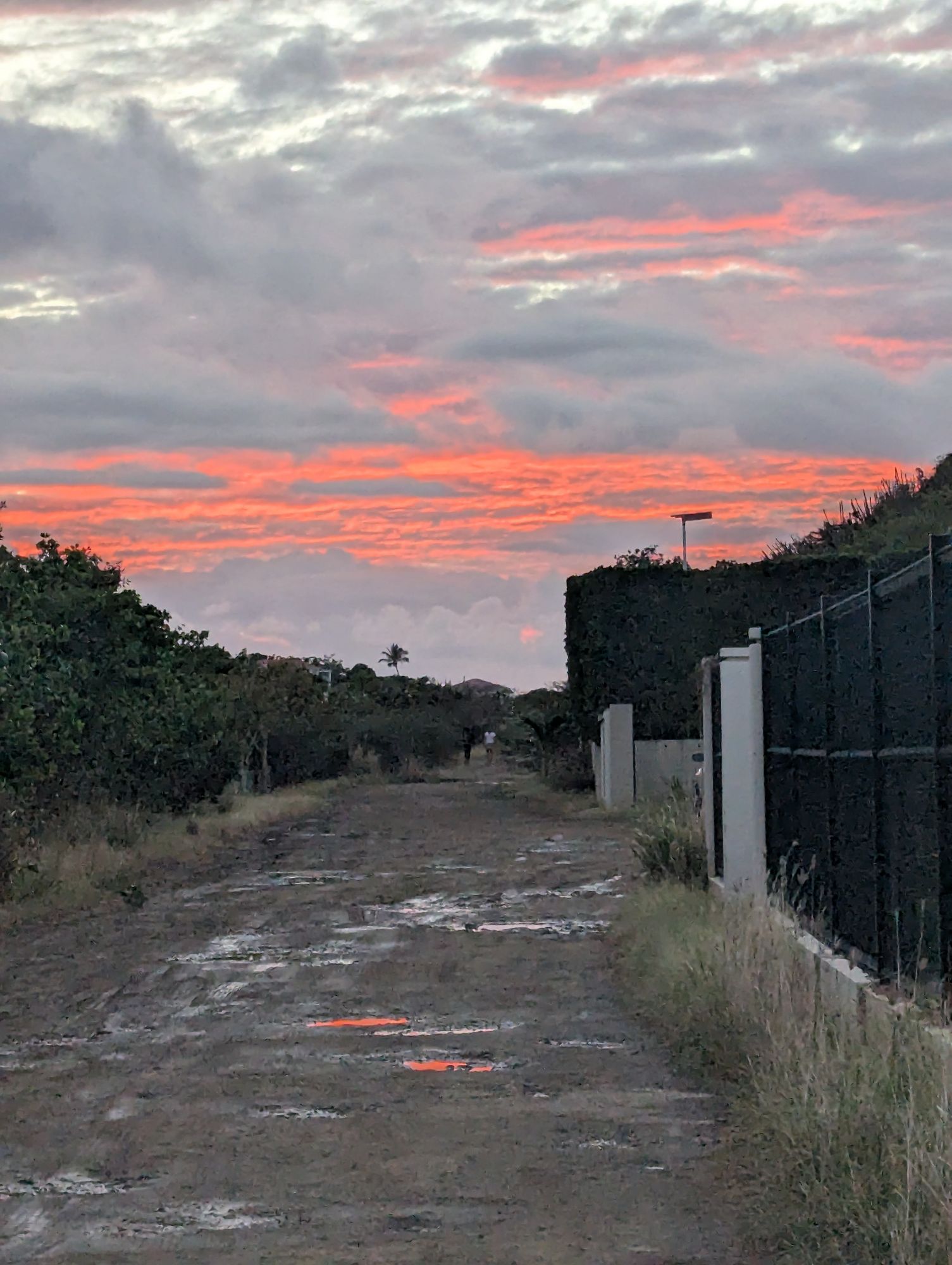 Netherlands — Kayleen Hamelin's travel story