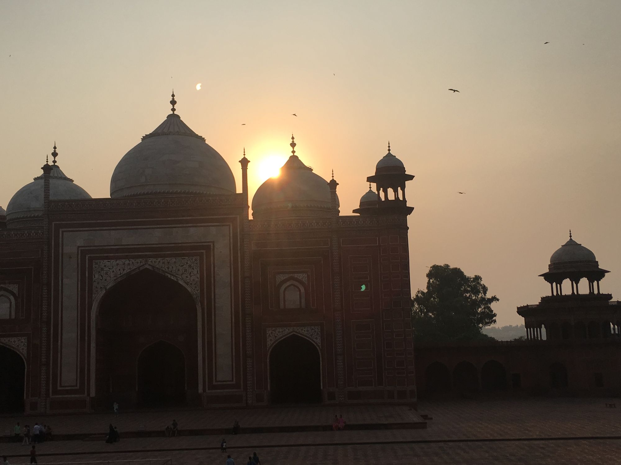 The Taj Mahal's mosque and surrounding structures silhouetted against a golden sunset sky with birds flying overhead