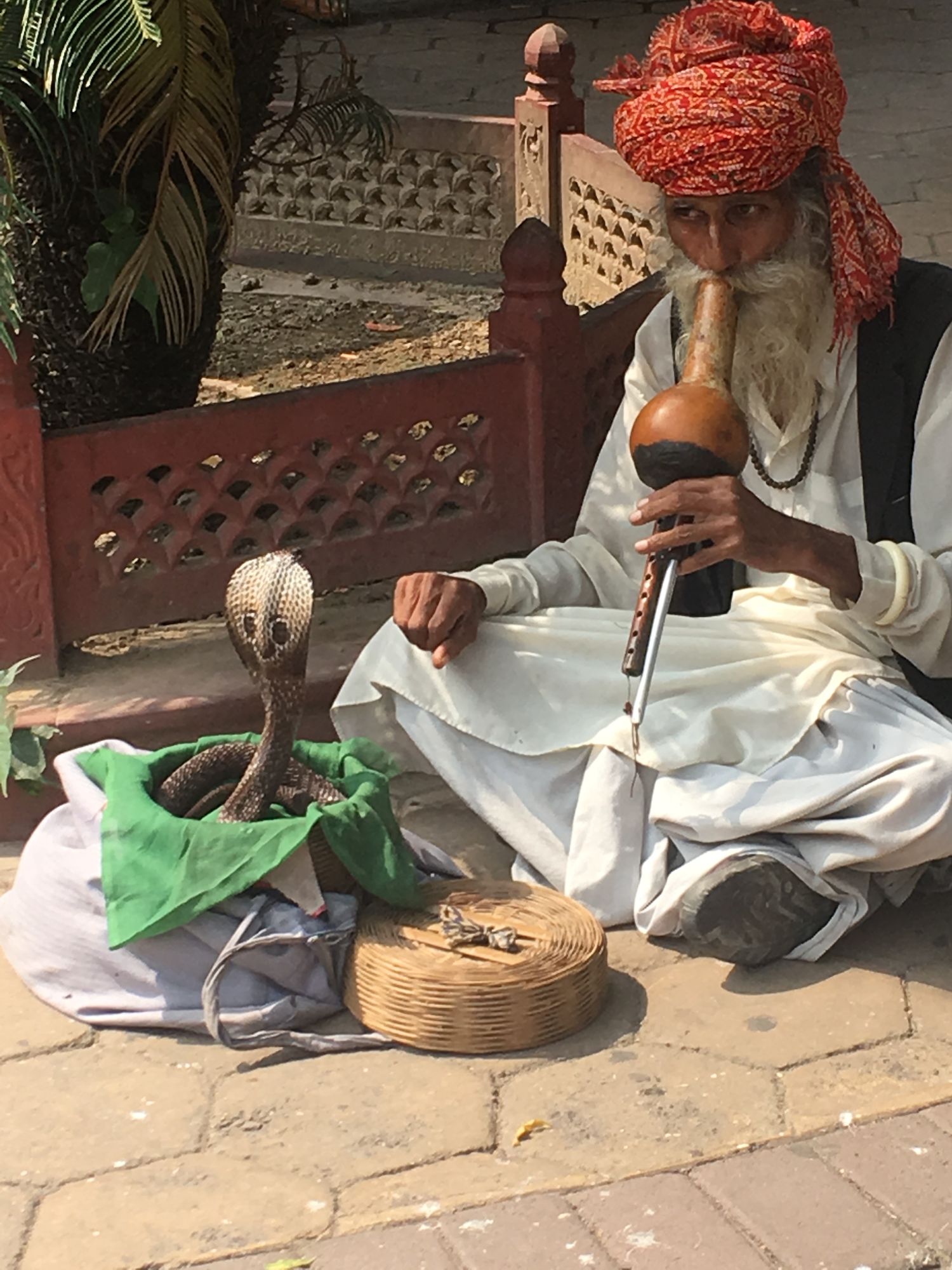 An elderly Indian man with a white beard and red turban plays a wooden flute while charming a cobra from a basket