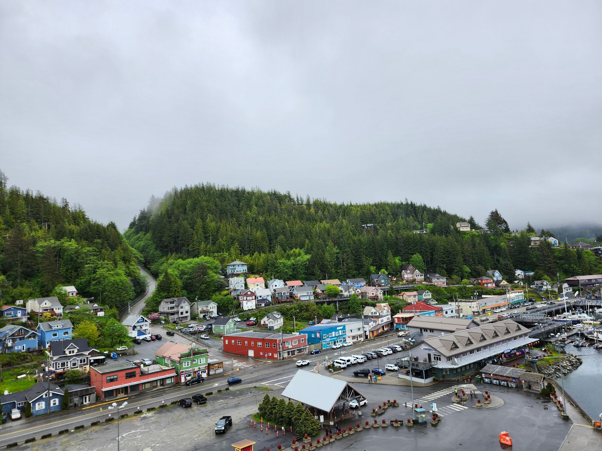 Colorful houses nestled among dense evergreen forest on hillside overlooking waterfront buildings and docks