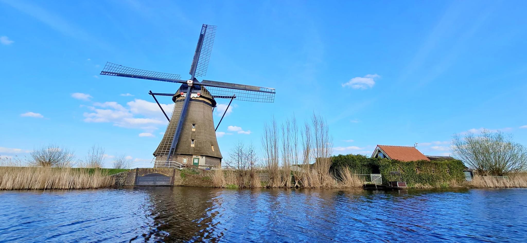 Traditional Dutch windmill with blue sails reflected in calm water alongside reedy banks