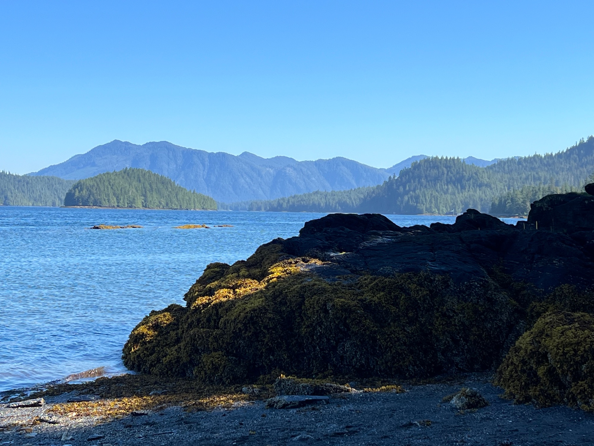 Elaine Smalling Almost Missed the Ship in Alaska — And It Turned Out to Be the Best Thing That Happened to Her Family — United States