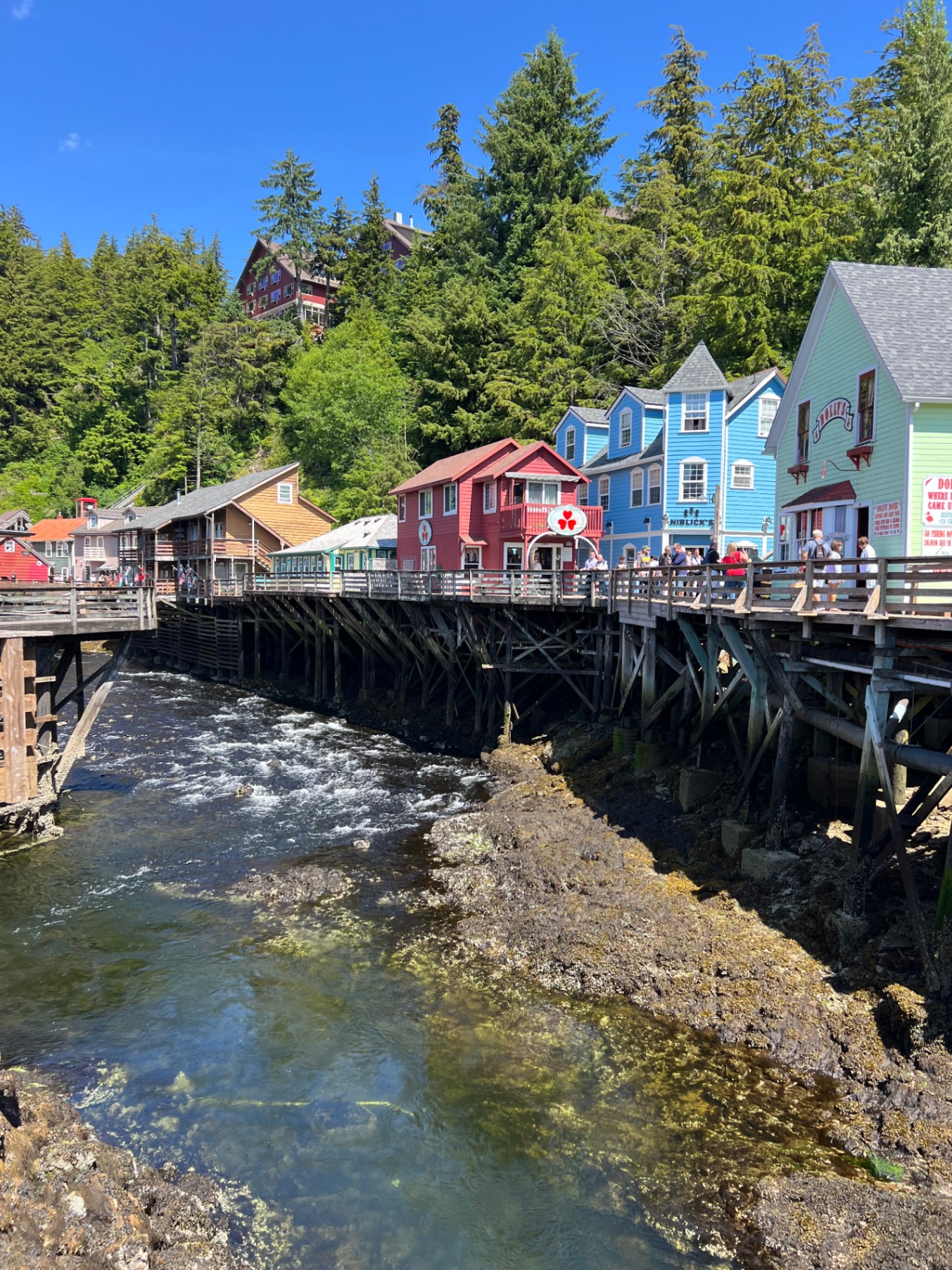 Elaine Smalling Almost Missed the Ship in Alaska — And It Turned Out to Be the Best Thing That Happened to Her Family — United States
