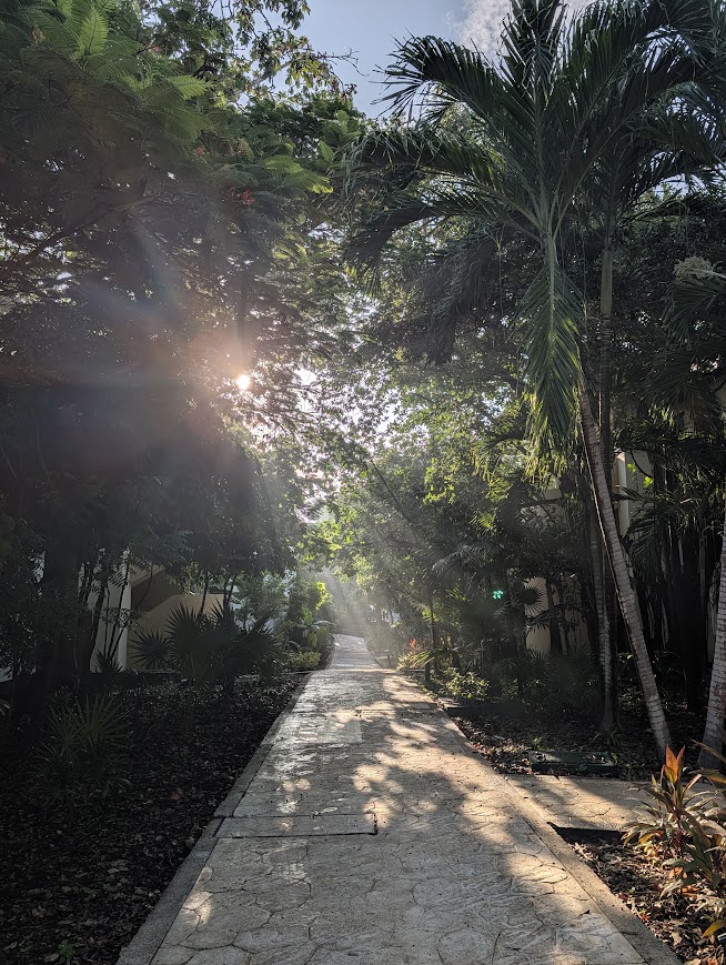 Mexico — Jan Vilaca's travel story