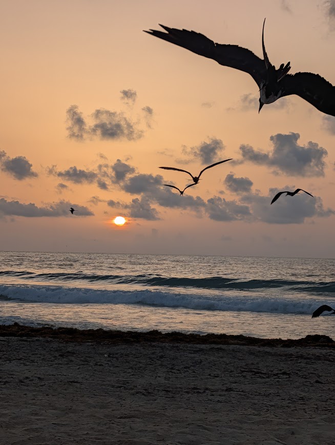 Mexico — Jan Vilaca's travel story