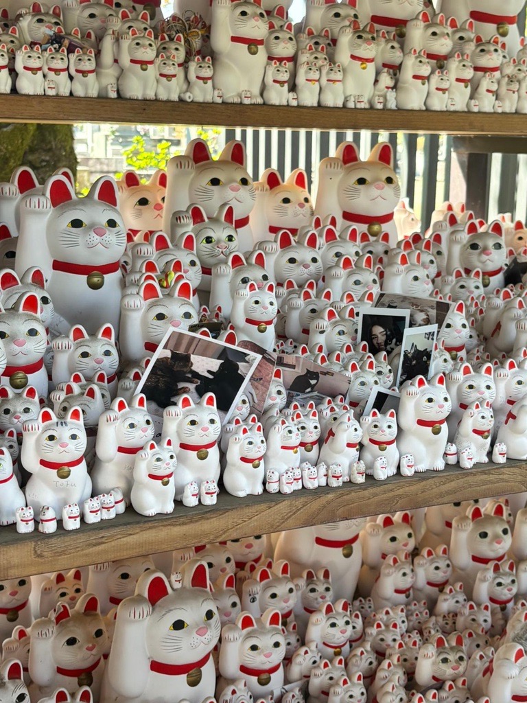 Japan — Sam Wallbridge's travel story