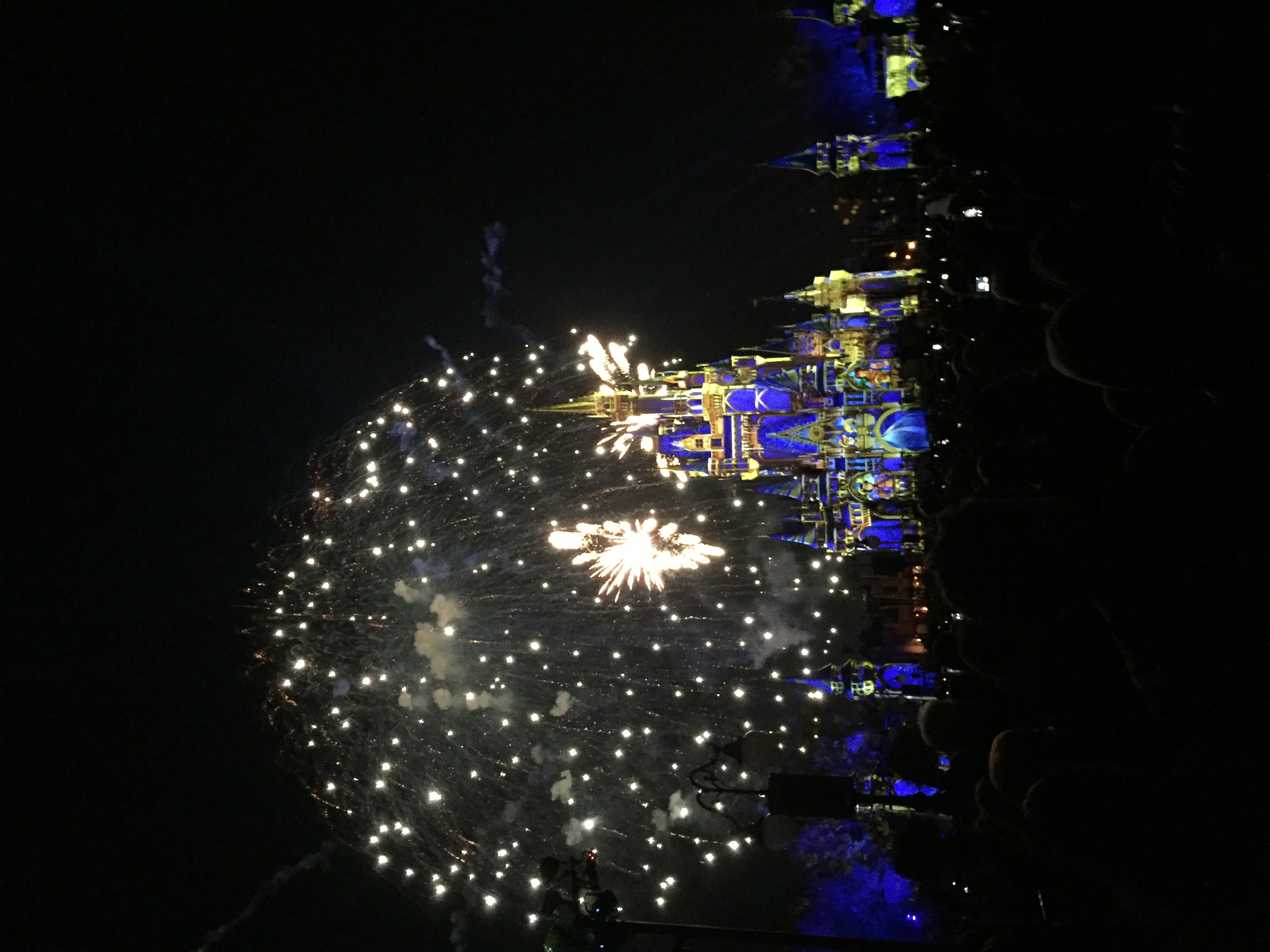 Fireworks exploding over Cinderella Castle at night during a Disney park celebration with crowds watching