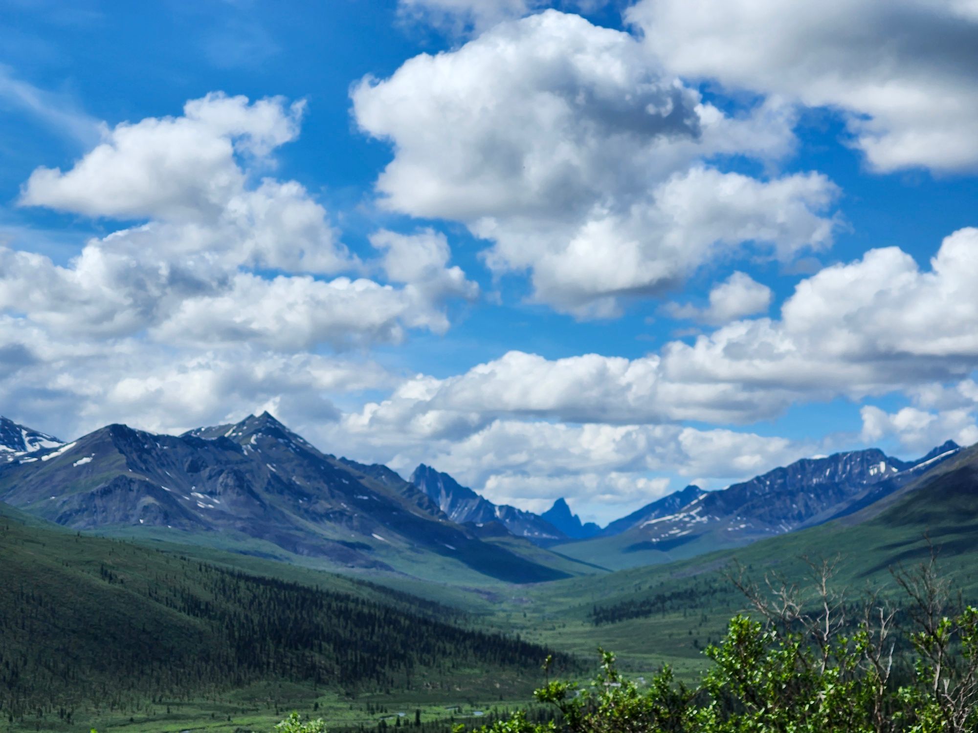 Mountain valley landscape with green tundra, distant peaks, and scattered evergreens