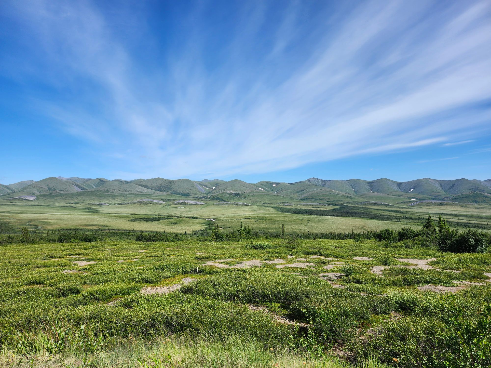 Vast tundra plain with low vegetation, distant mountains, and clear blue sky