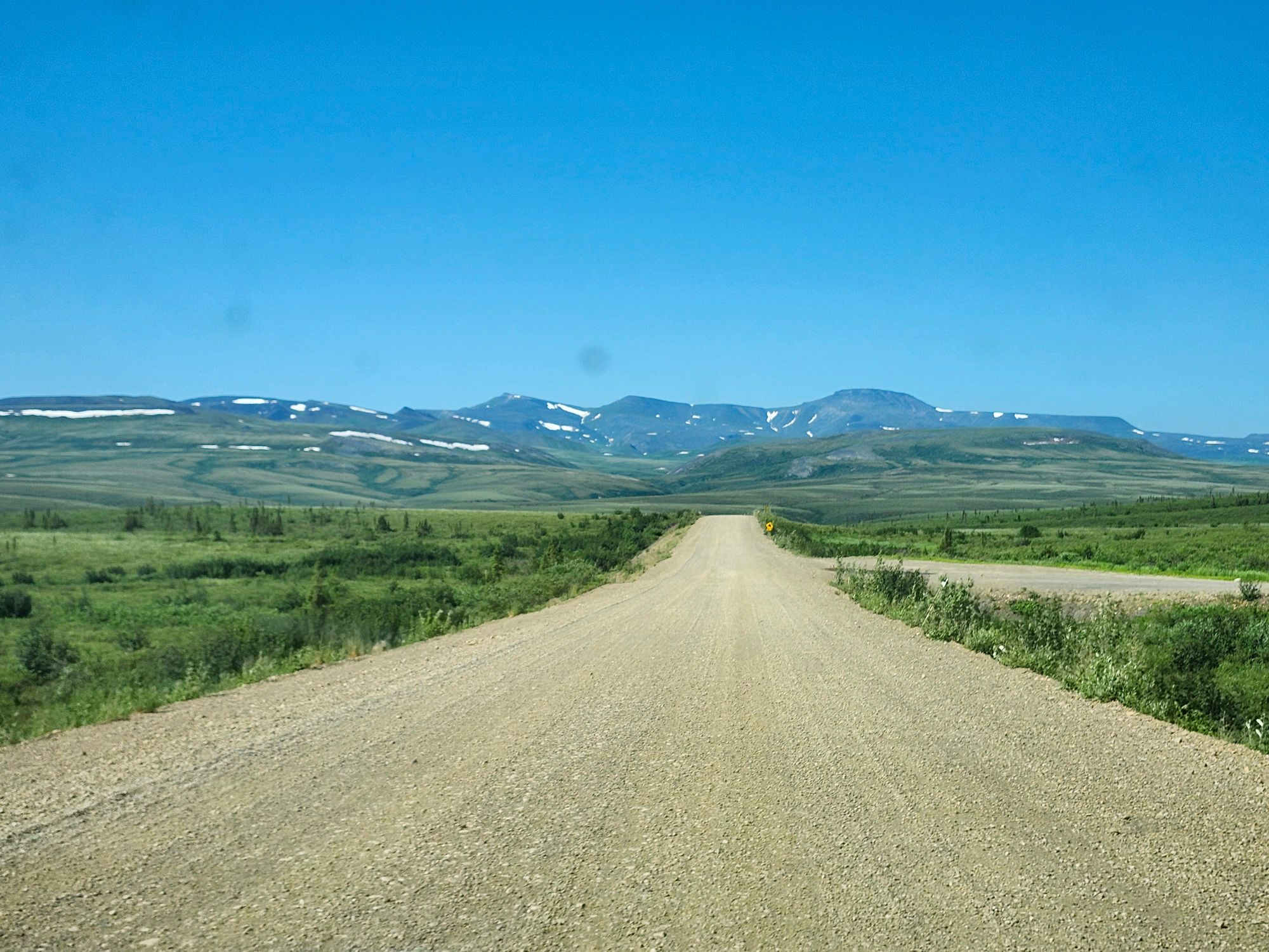 Tundra landscape with white wildflowers, blue lake, and rolling hills under clear sky