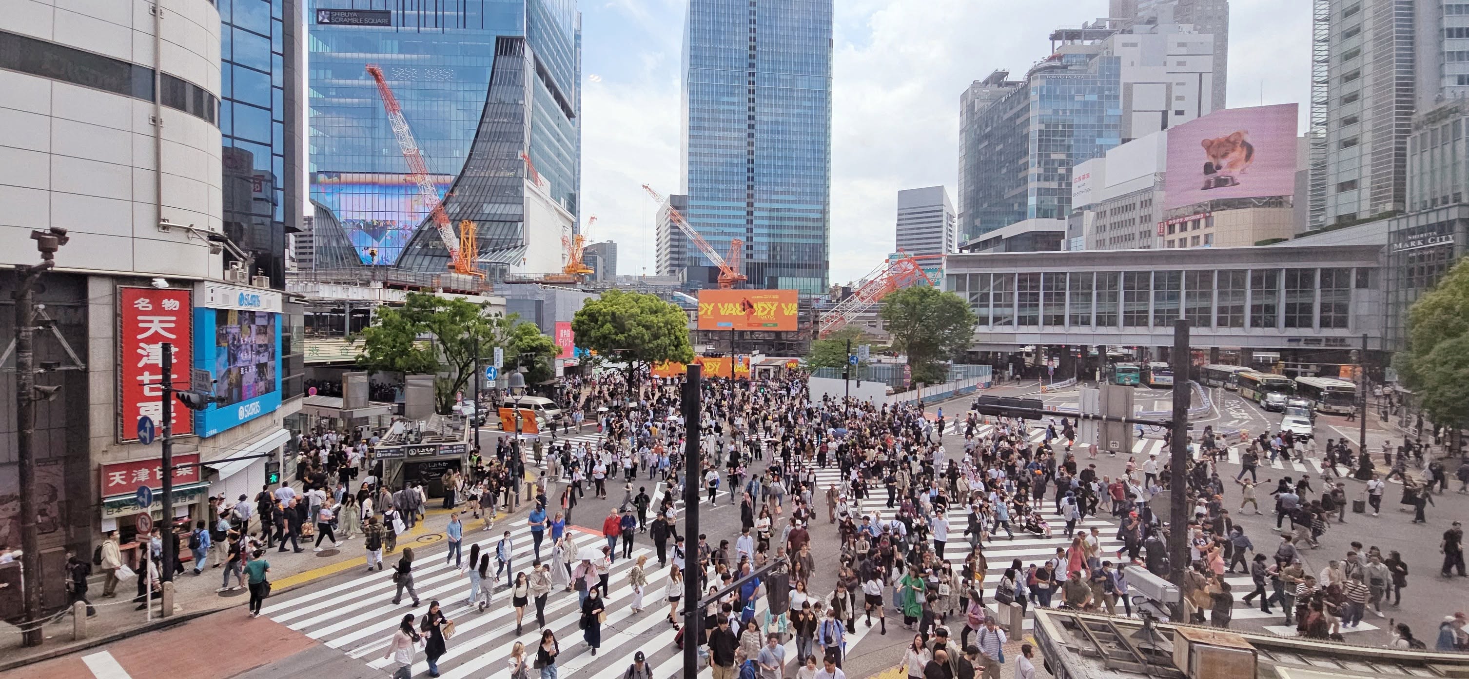 Busy Shibuya Crossing in Tokyo with crowds of pedestrians crossing multiple zebra crossings