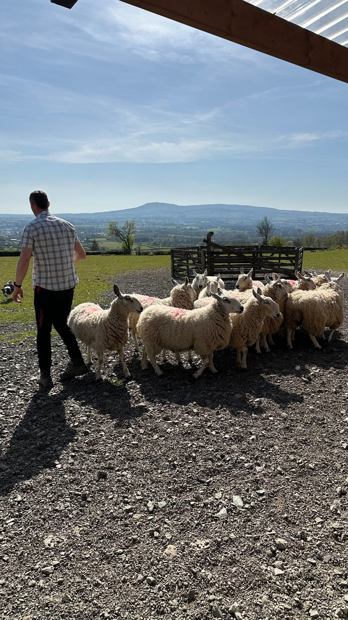 Ireland — David Petlin's travel story
