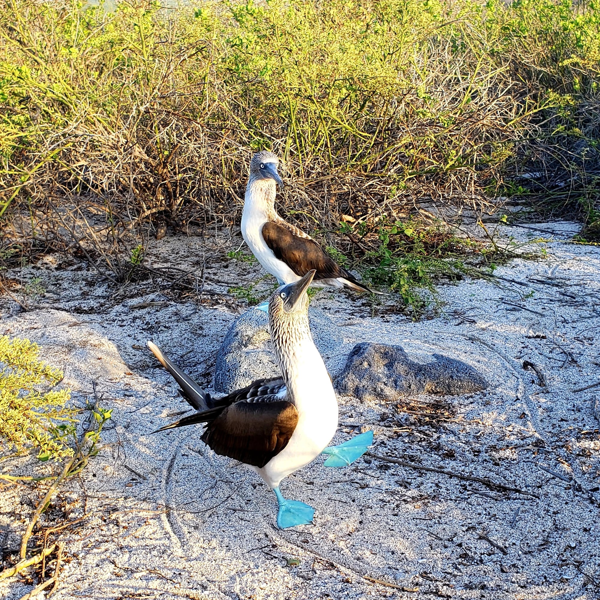 Travel photo