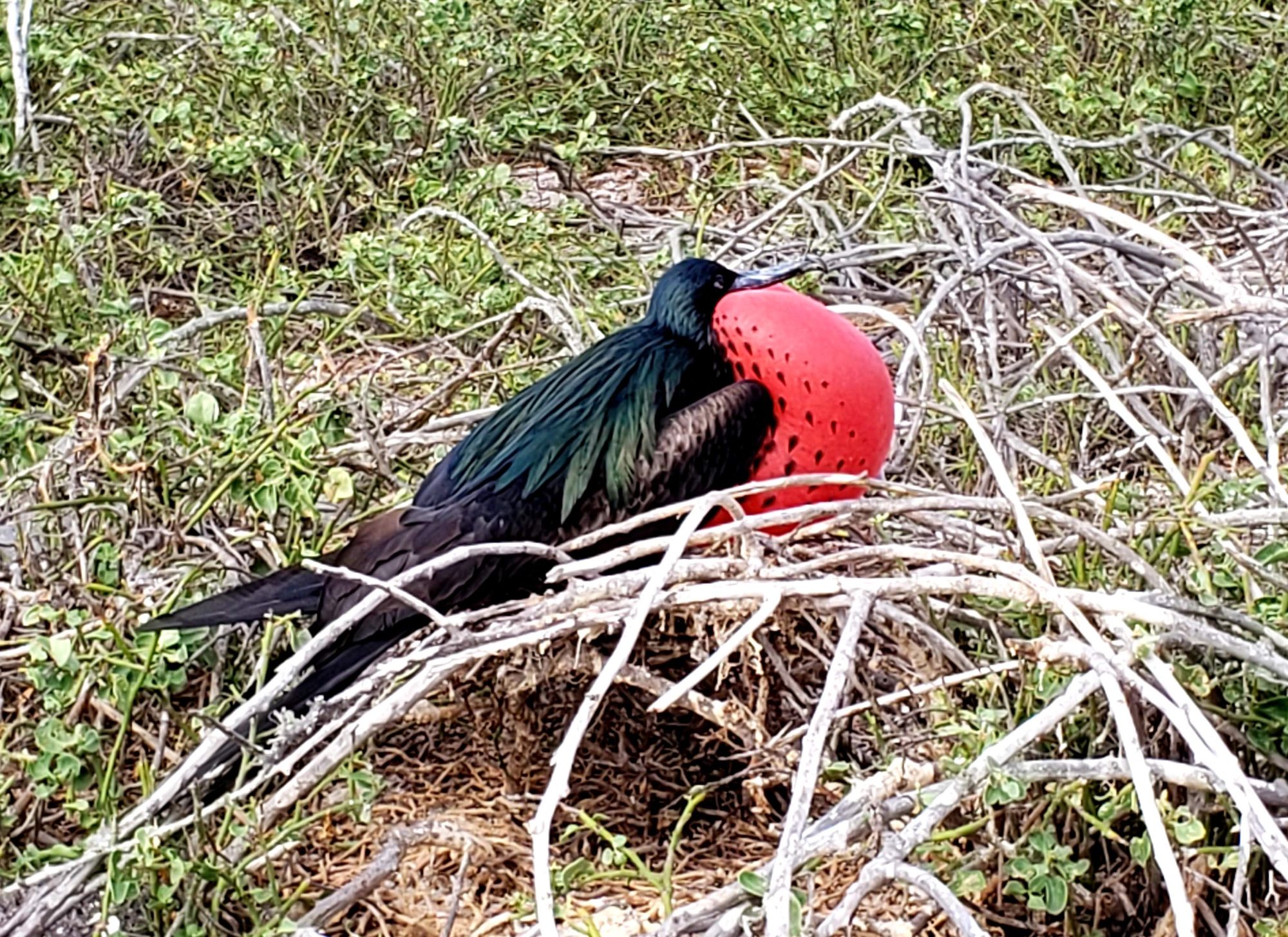 Ecuador — Courtney Morin's travel story