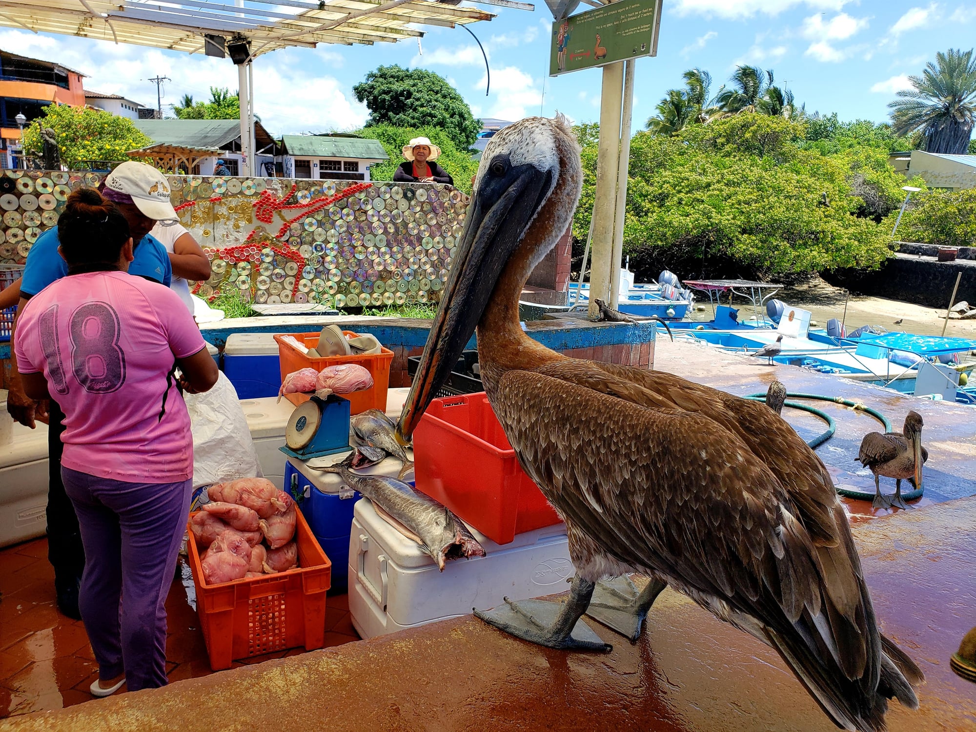 Courtney Morin Honeymooned in the Galápagos With Her Parents — and It Was the Best Decision She Ever Made — Ecuador