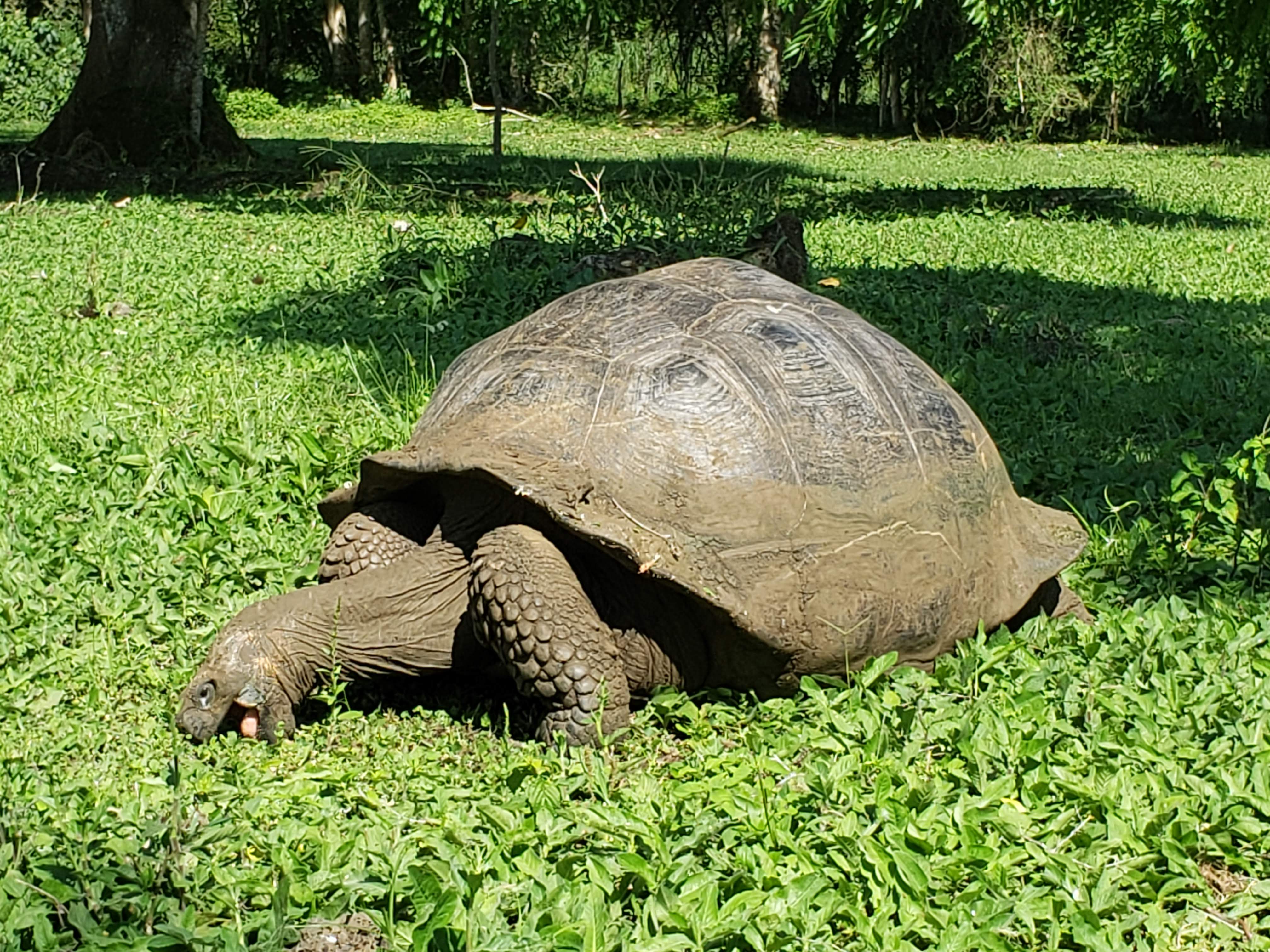 Courtney Morin Honeymooned in the Galápagos With Her Parents — and It Was the Best Decision She Ever Made — Ecuador