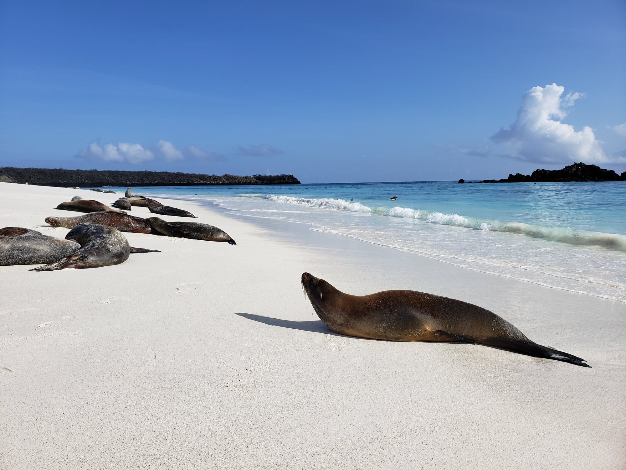 Courtney Morin Honeymooned in the Galápagos With Her Parents — and It Was the Best Decision She Ever Made