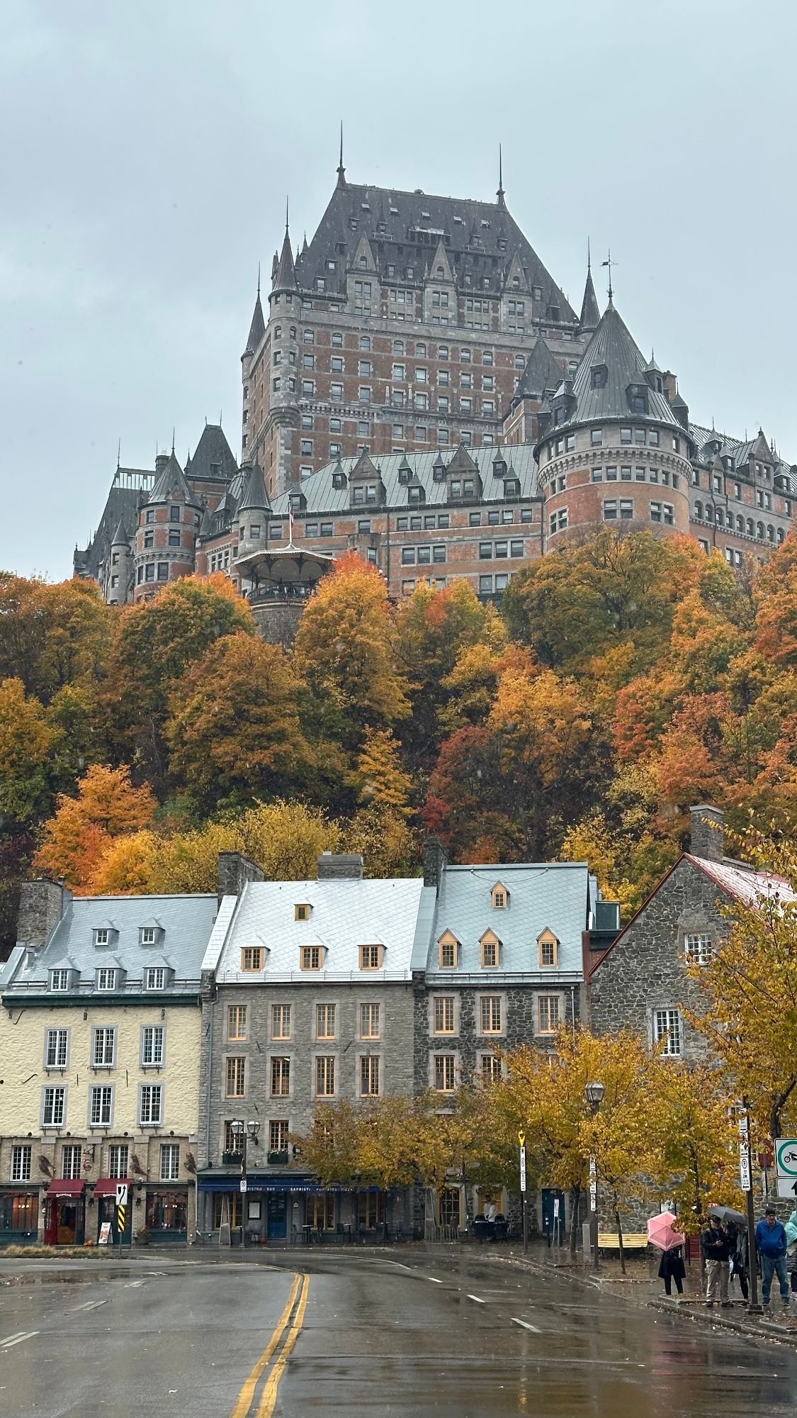 Cruise — David Petlin's travel story