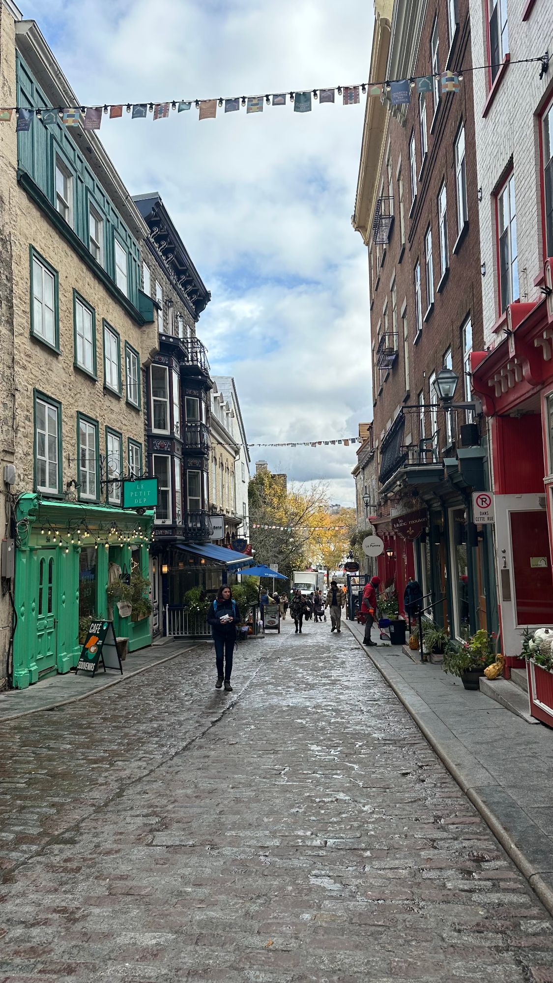 Cruise — David Petlin's travel story