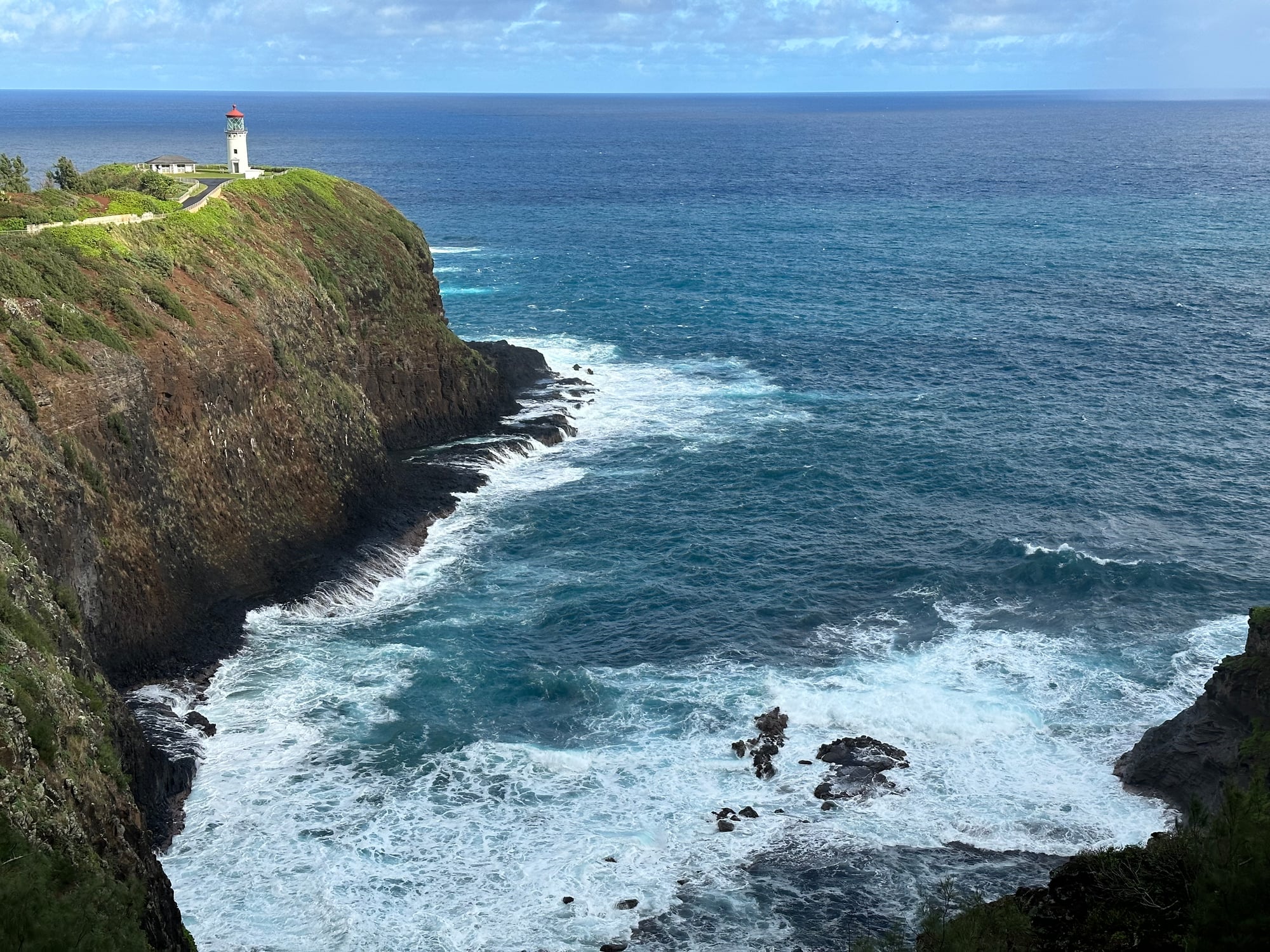 Sparse golden grasses dot a dark volcanic lava field stretching toward the ocean horizon under blue skies in Hawaii