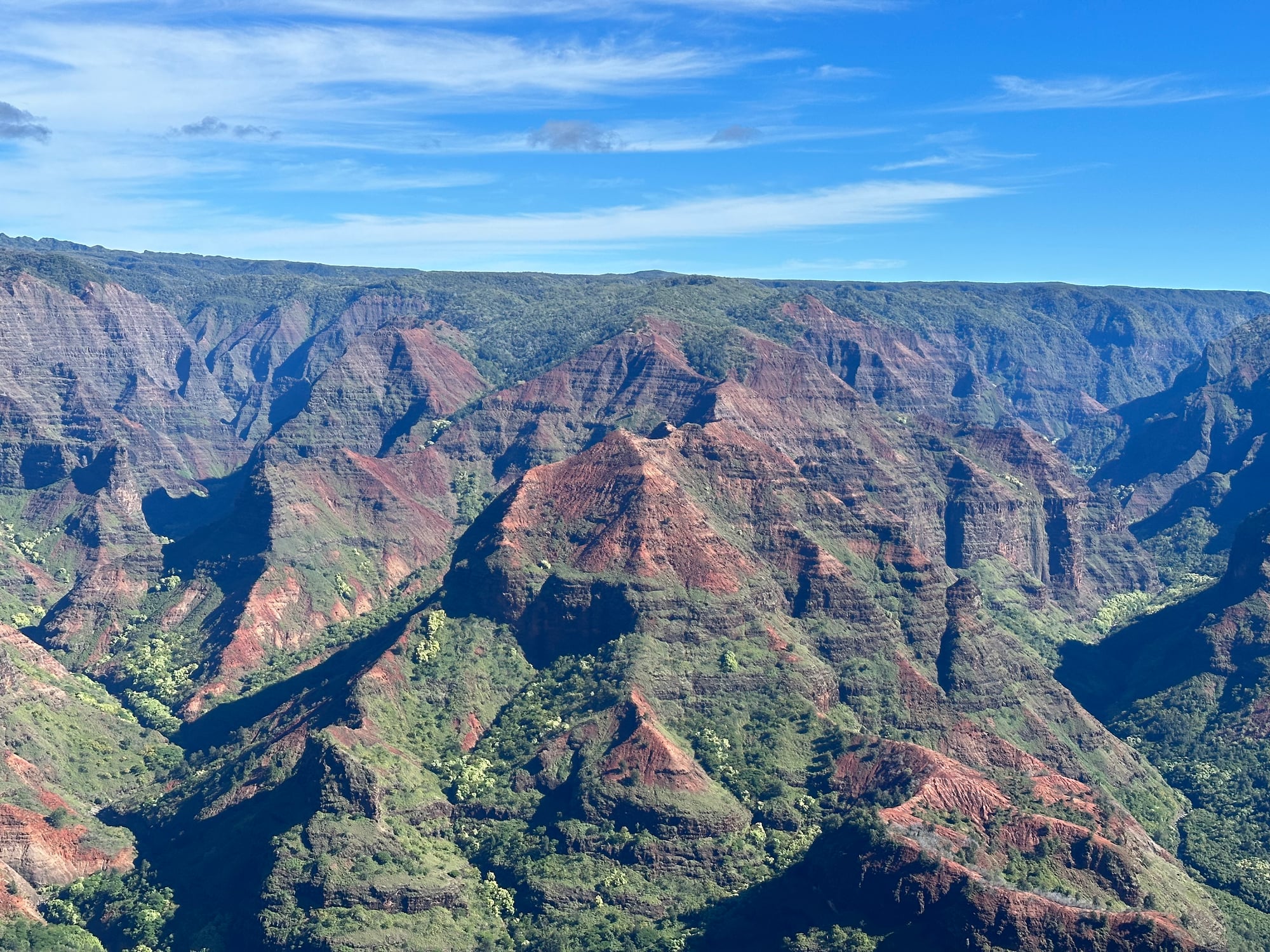A tall solitary palm tree stands on a coastal cliff overlooking turquoise ocean and lush green tropical forest in Hawaii