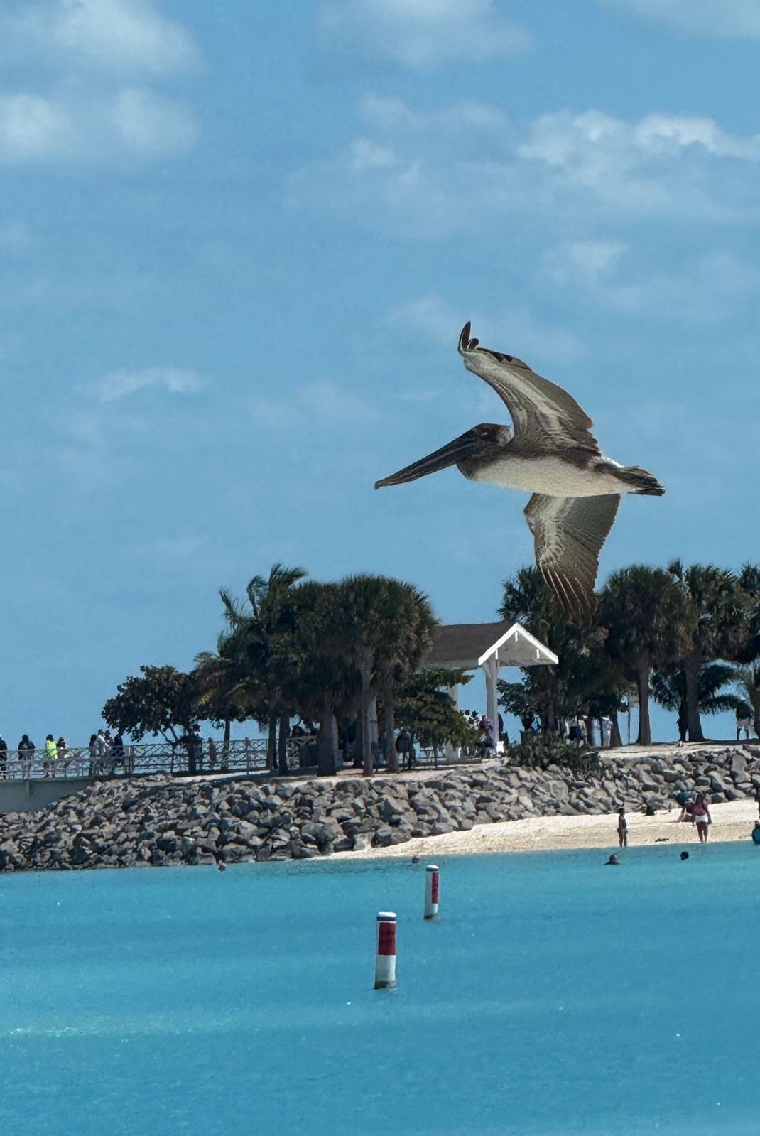 Anna Aitchison's MSC Bahamas Cruise Revealed a Private Island Oasis — and Changed How She Advises Clients Forever — Bahamas