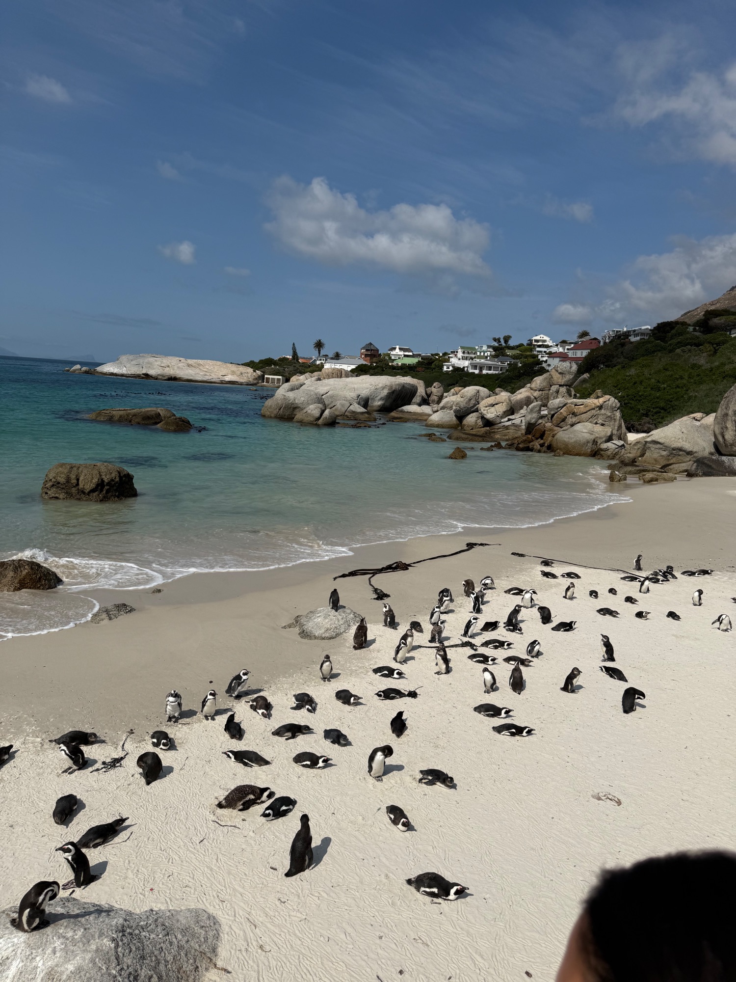 Julie Charlton's African Safari Taught Her to Stop Looking and Start Seeing — South Africa