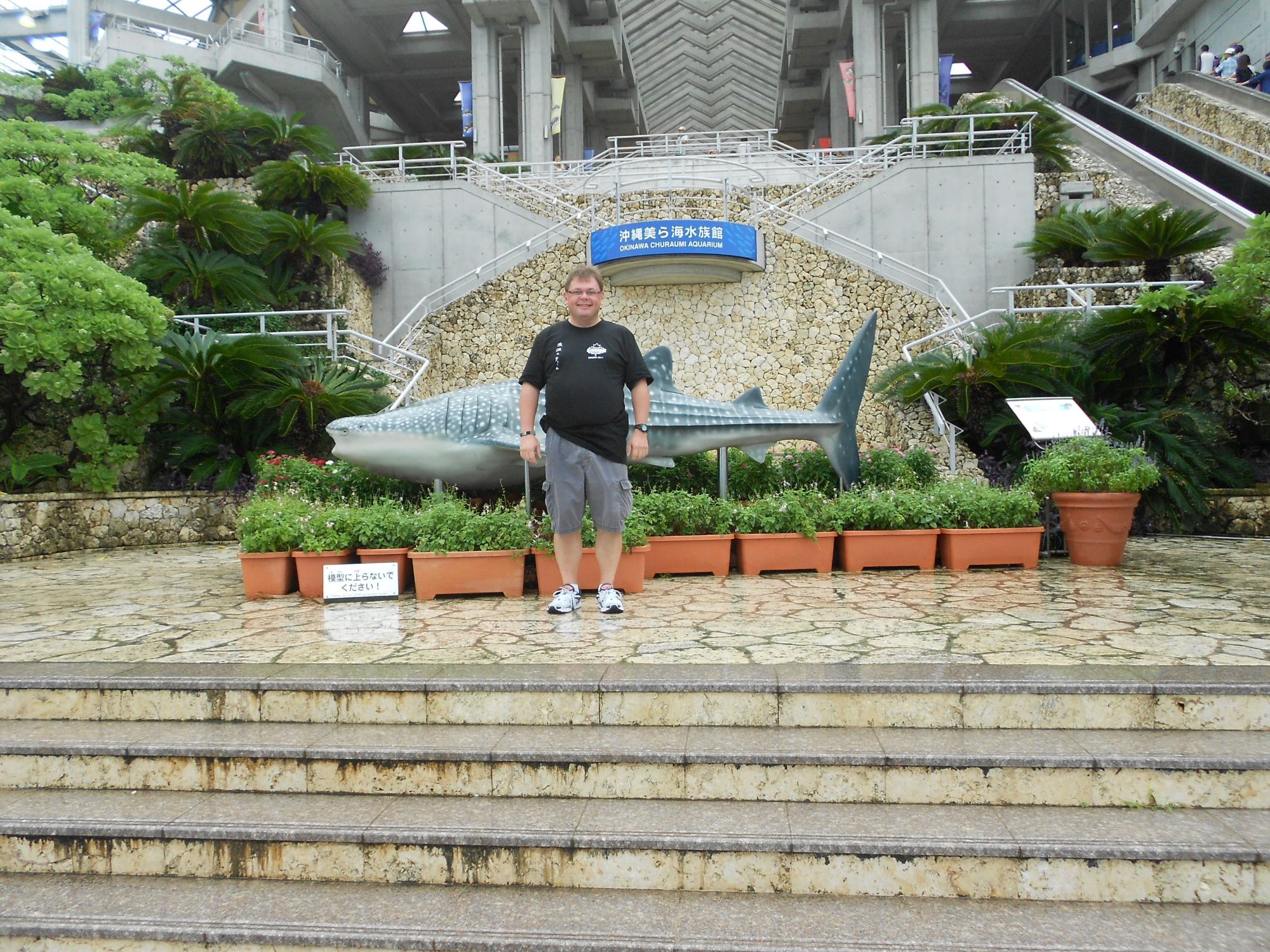 Man in black shirt posing with a large whale shark sculpture at the Okinawa Churaumi Aquarium