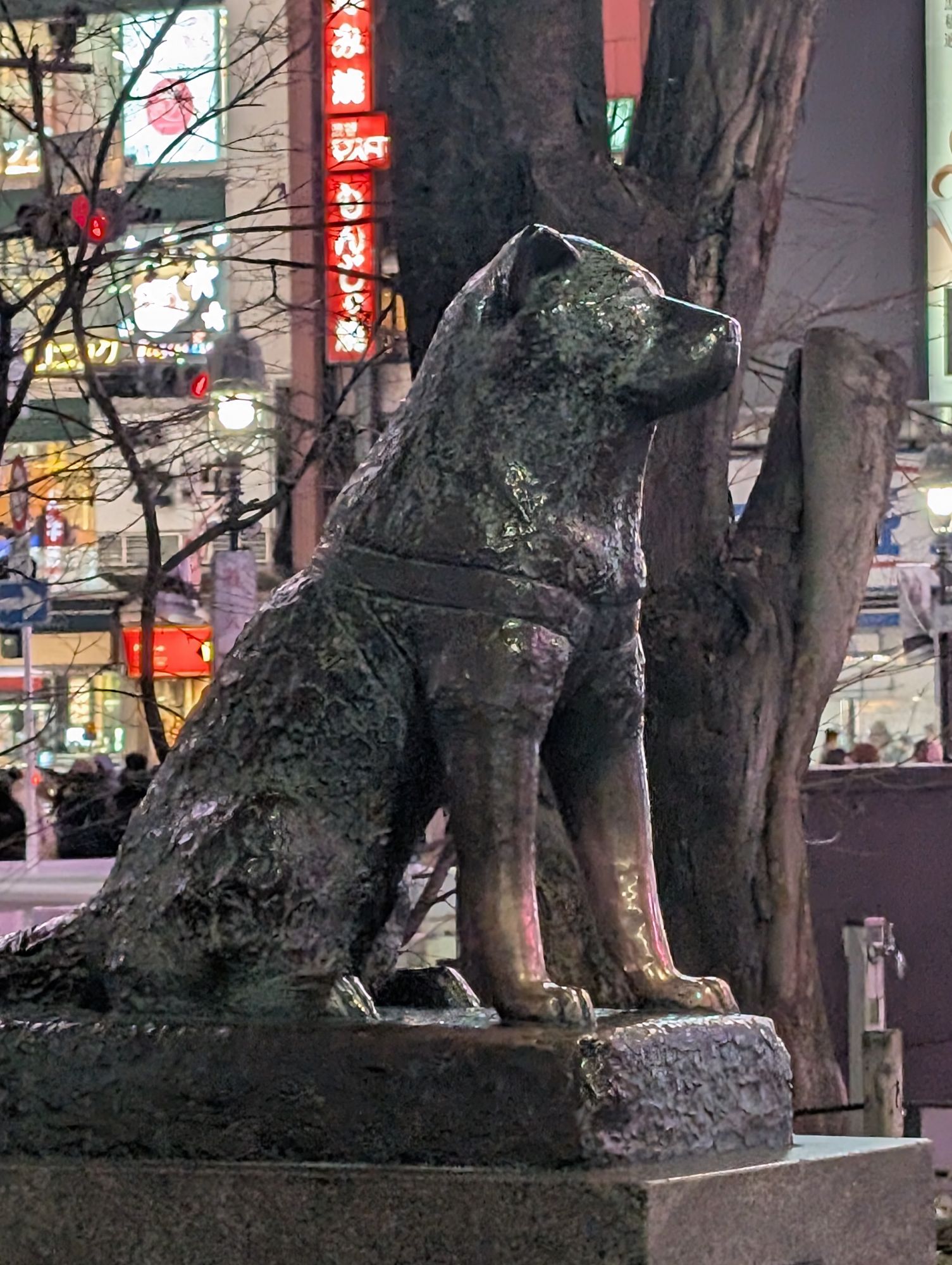 Japan — Flordeliza Laudi's travel story