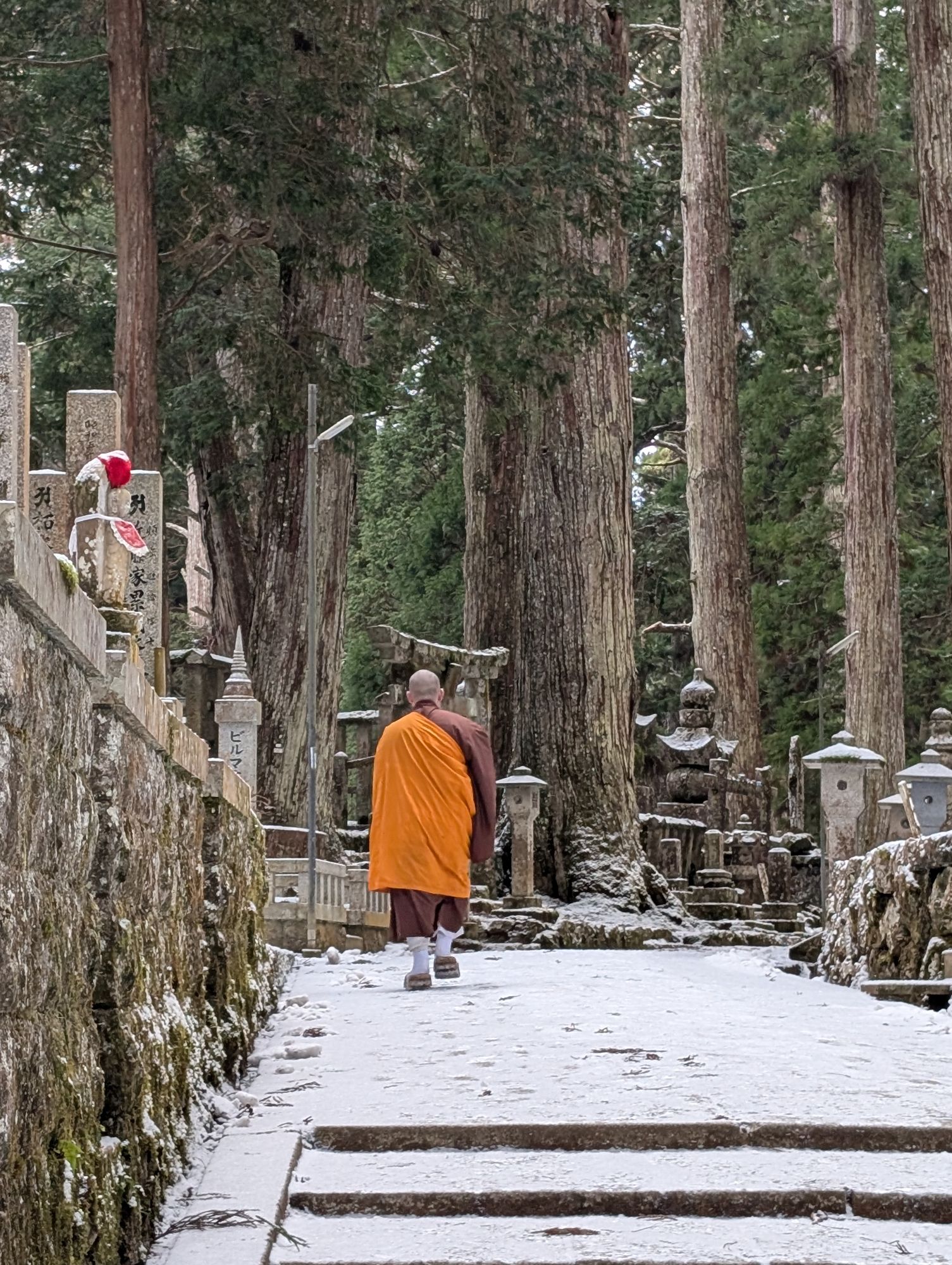 Japan — Flordeliza Laudi's travel story
