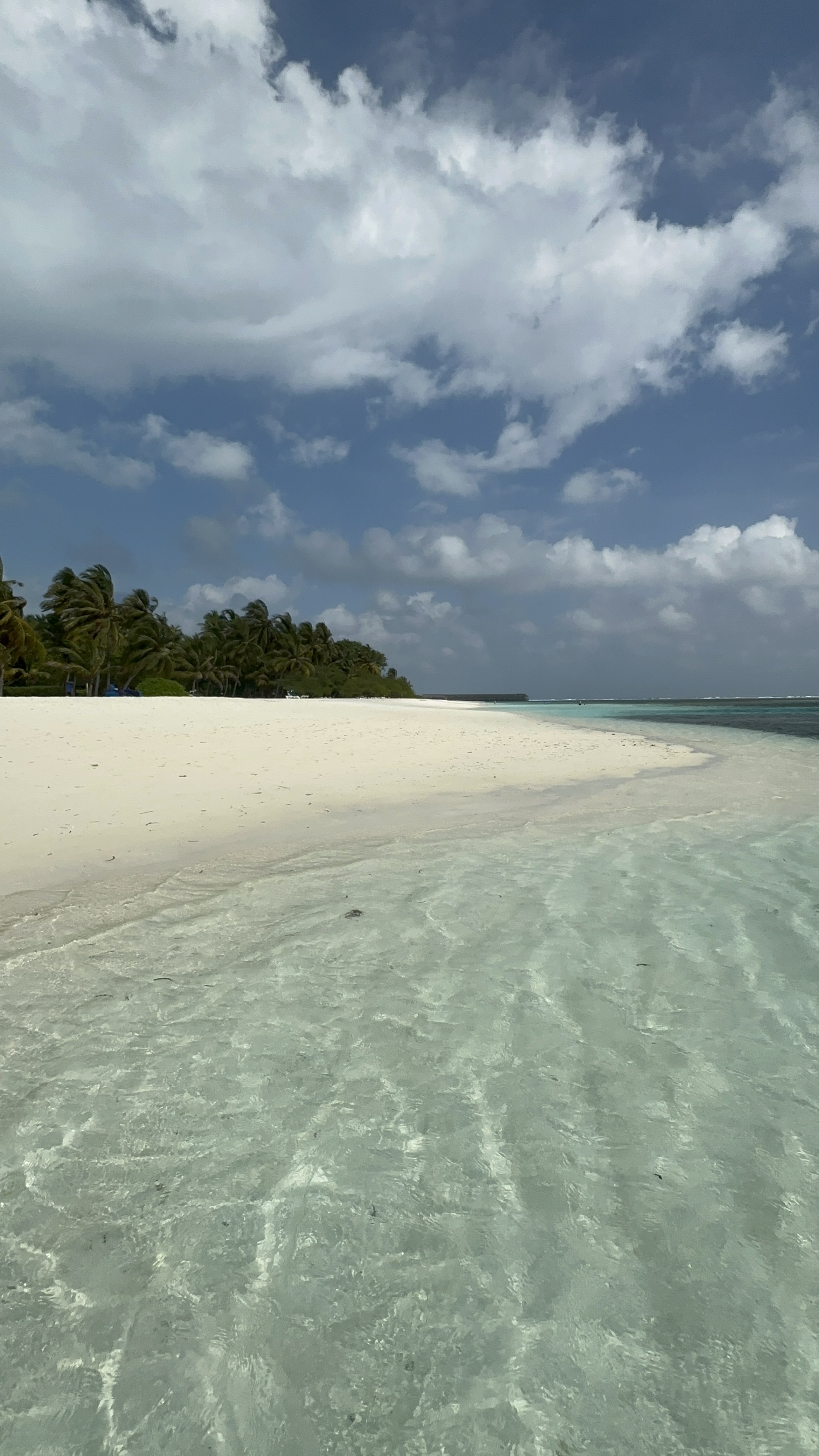 A pristine white sand beach meets shallow turquoise water with palm trees and white clouds overhead