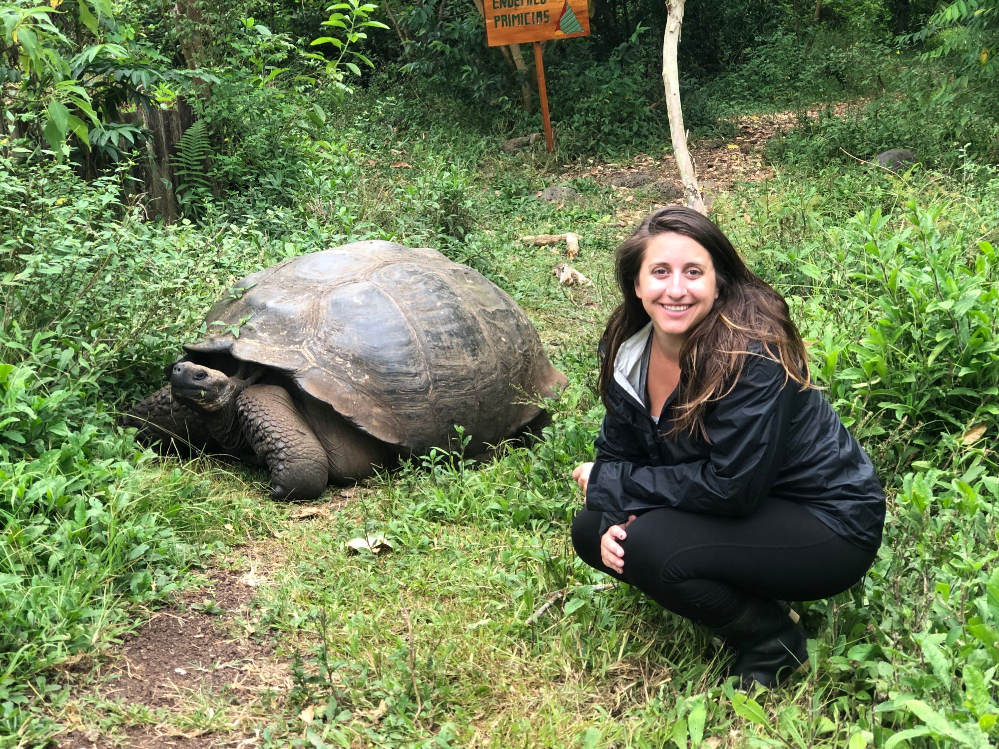 Beth Sharry posing with a large Galápagos tortoise in lush green forest habitat