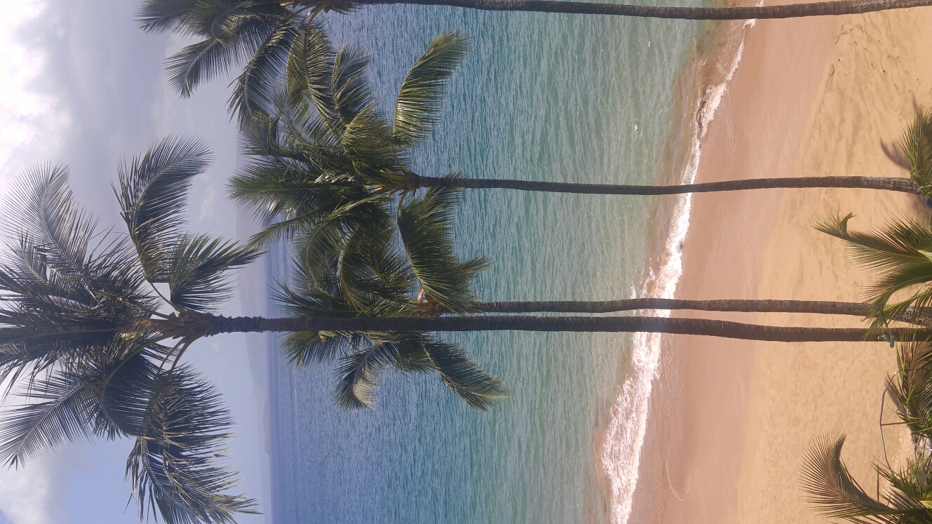 Beyond the Malecon: What Holly Slater's Puerto Vallarta FAM Trip Taught Her About Matching Every Client to the Perfect Stay
