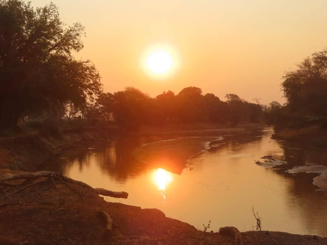 Golden sunrise reflects on calm river water surrounded by trees and vegetation