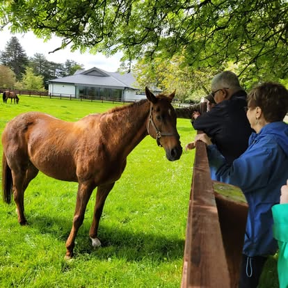 Ireland — Misti Garcia's travel story