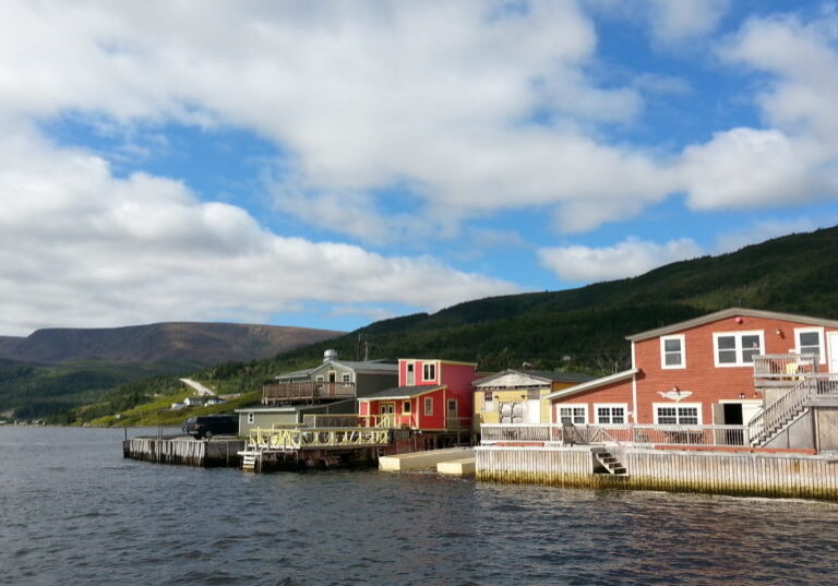 Why Ronnie Lee Says Newfoundland and Labrador Deserves a Trip All Its Own