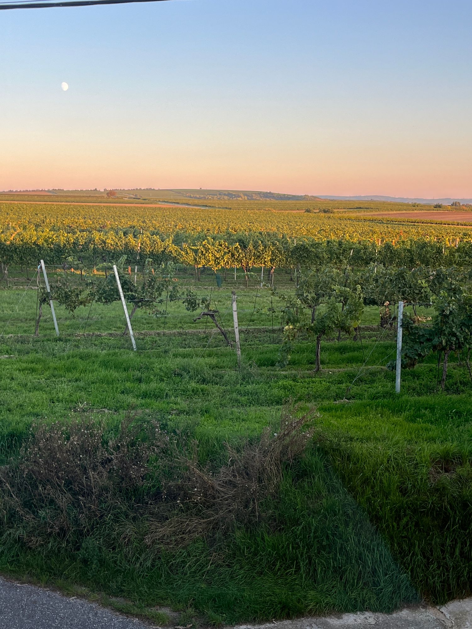 Austria — Elke Baumgartner's travel story