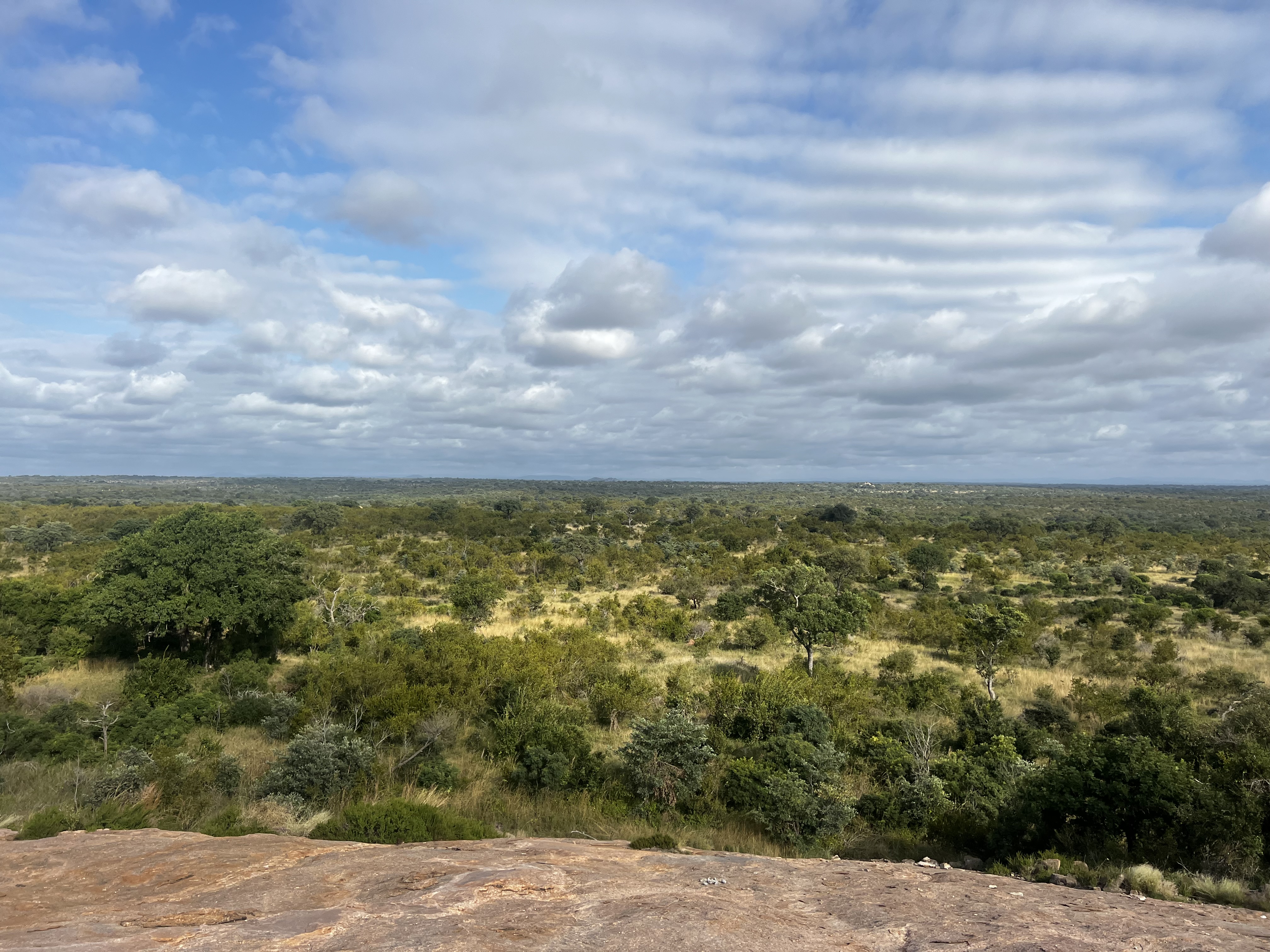Expansive view of African savanna landscape with scattered trees, grassland, and cloudy sky stretching to the horizon