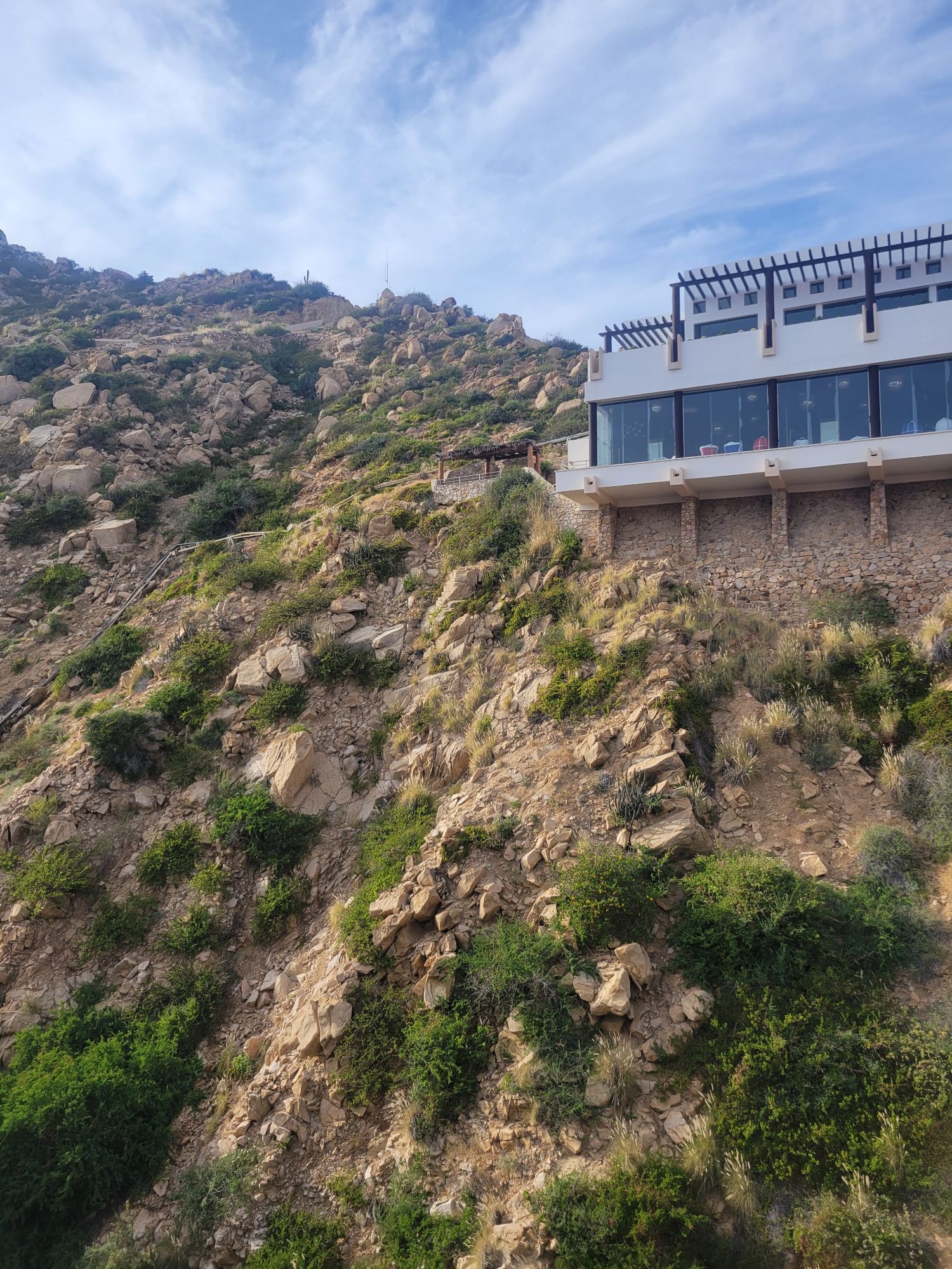 Modern white building with large windows perched on a rocky hillside with desert vegetation in Los Cabos