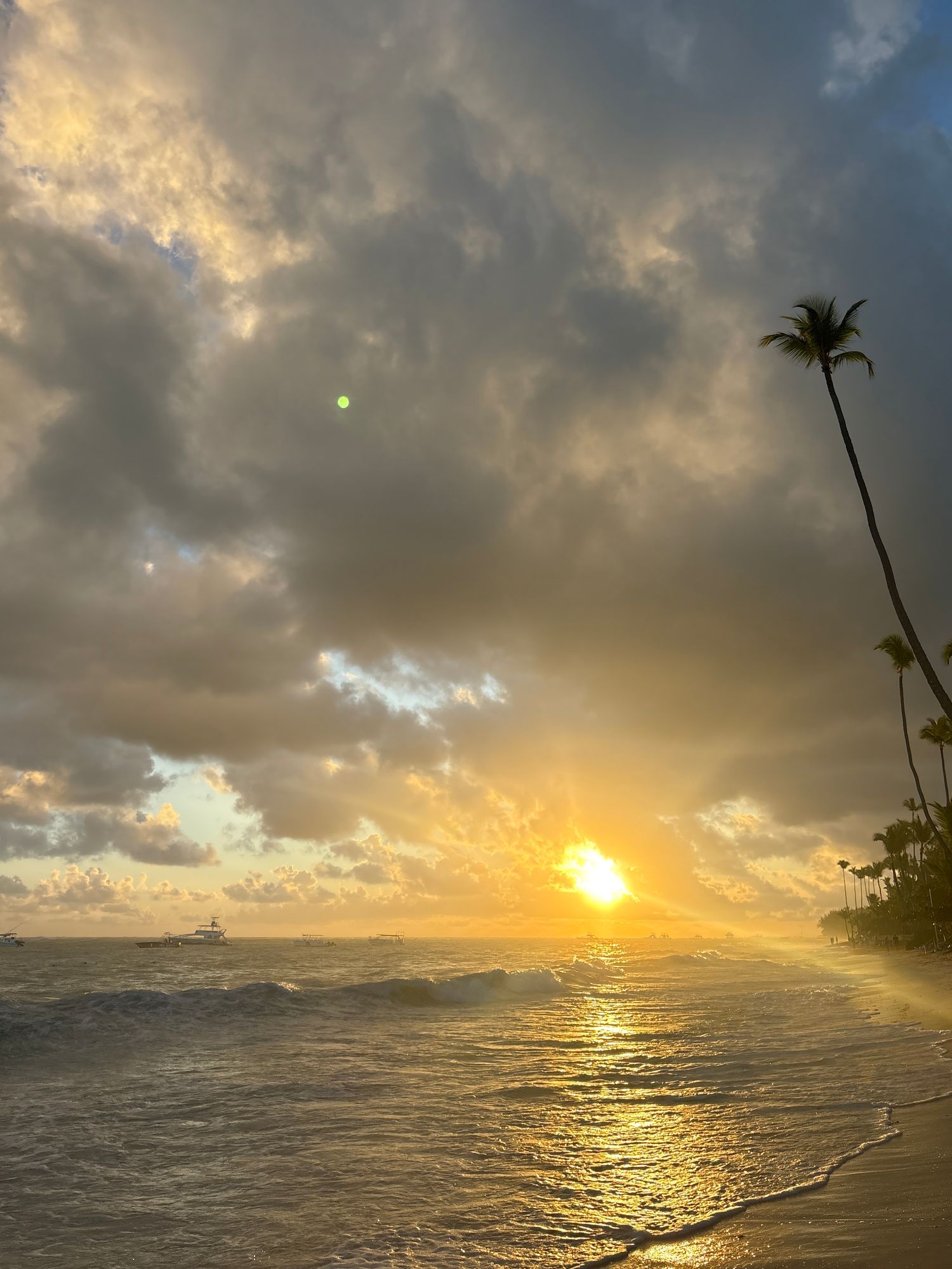 A stunning tropical beach sunset with crashing waves, palm silhouettes, and a glowing golden horizon.
