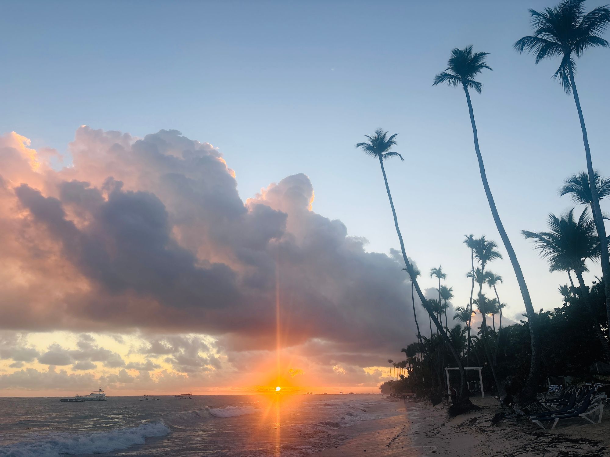 A stunning Caribbean sunrise ignites the horizon beneath dramatic clouds and swaying palm silhouettes.