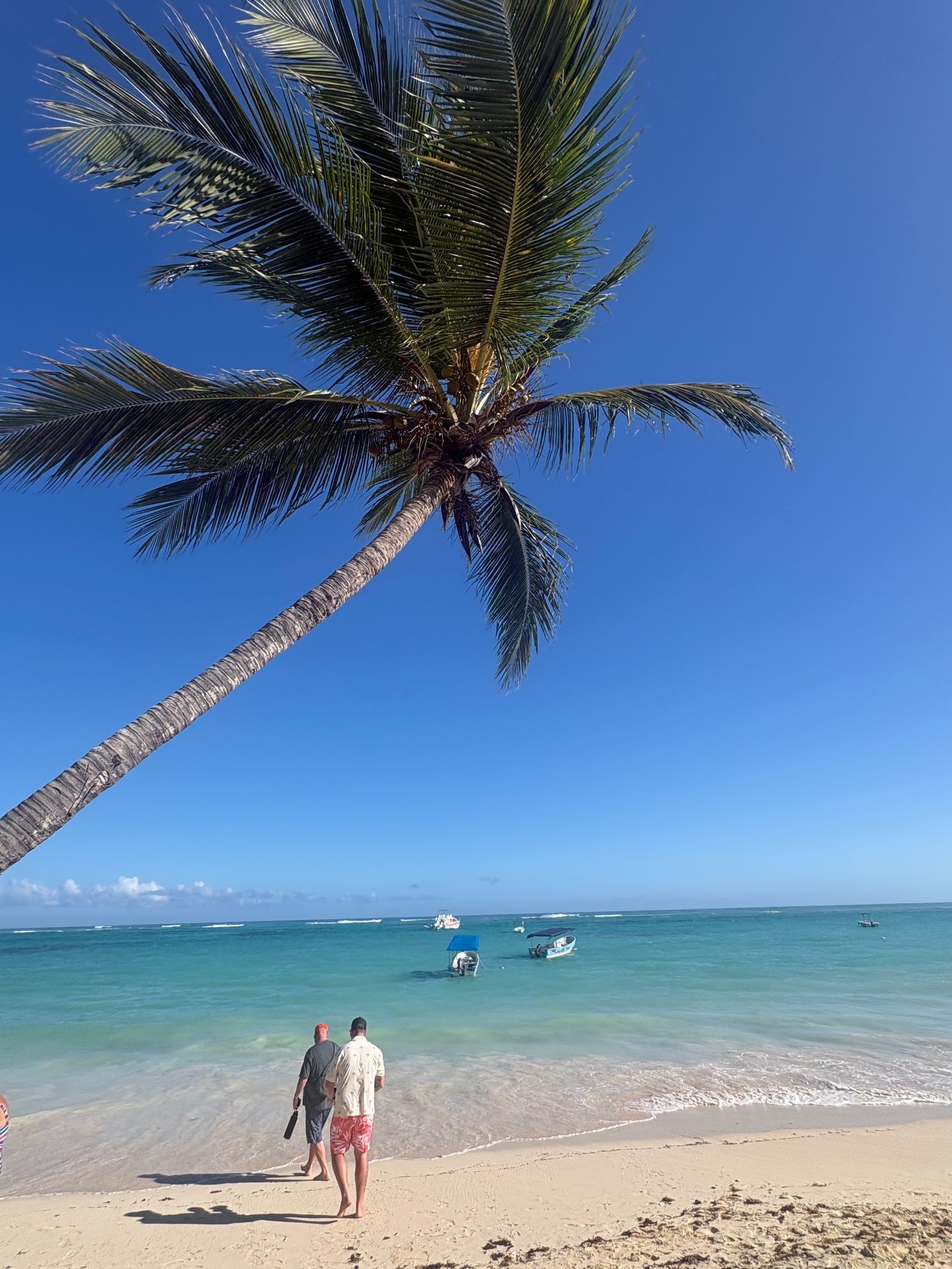 Two people stroll along a pristine Caribbean beach beneath a dramatically leaning palm tree.
