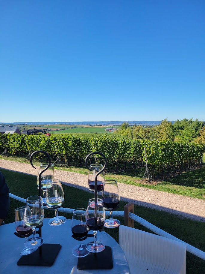 Wine glasses on a blue table overlooking vineyard rows and rolling farmland under clear sky