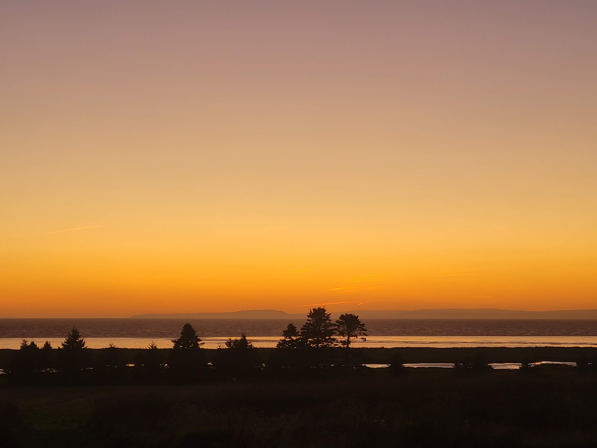 Golden sunset over water with silhouetted trees along the horizon in Nova Scotia