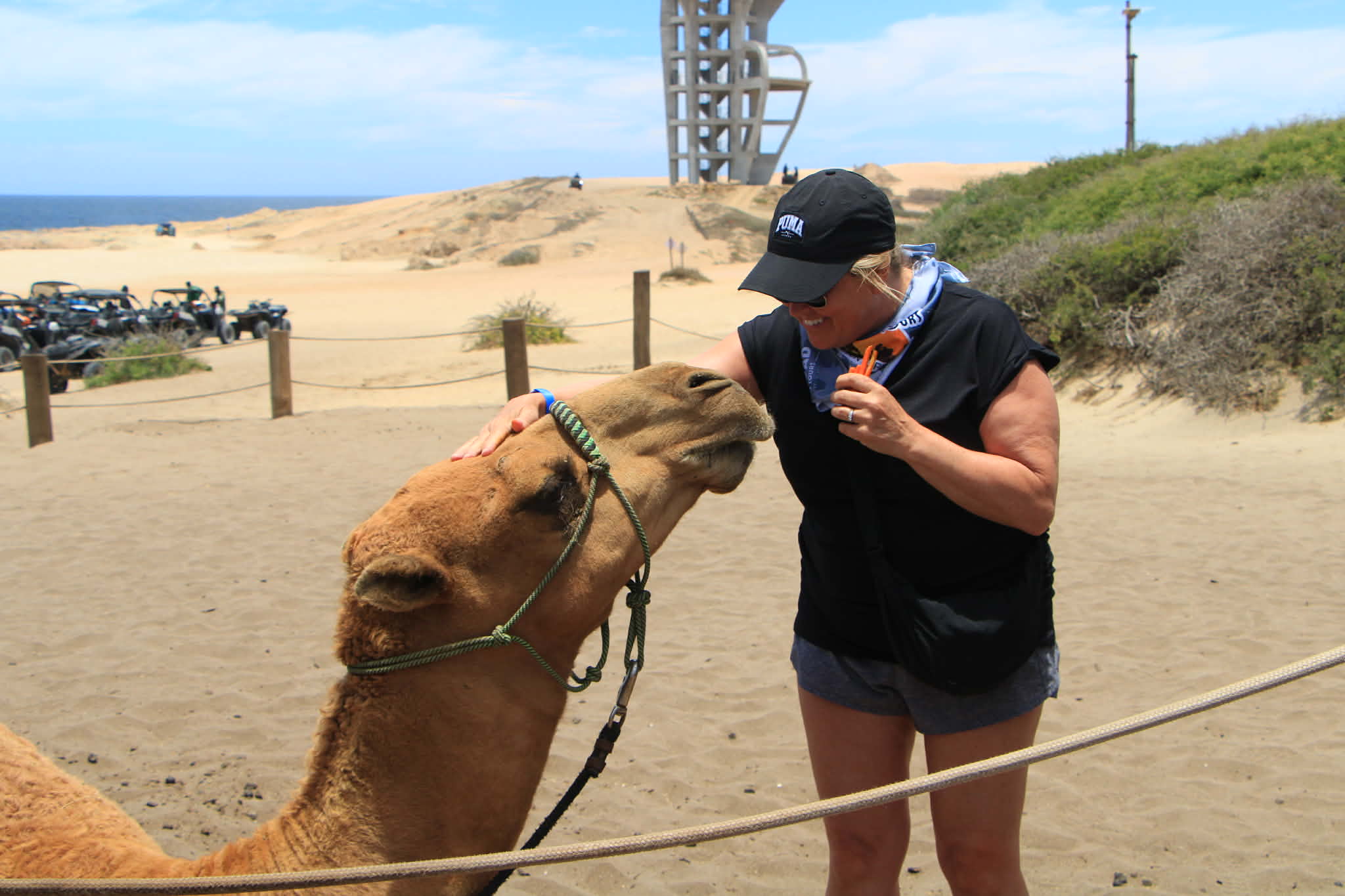 Woman in black shirt feeds a camel on a sandy beach in Los Cabos